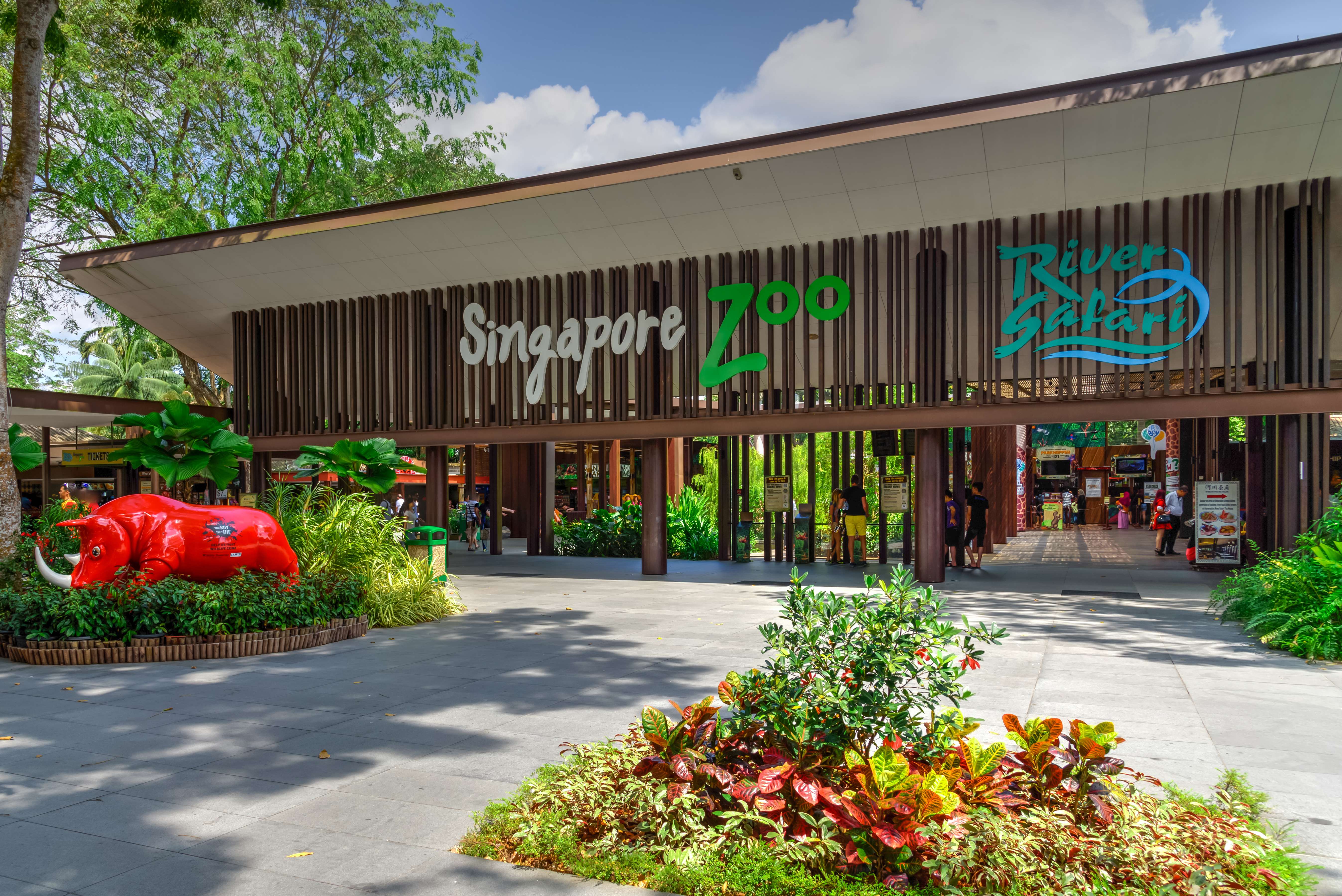 Rainforest Kidzworld