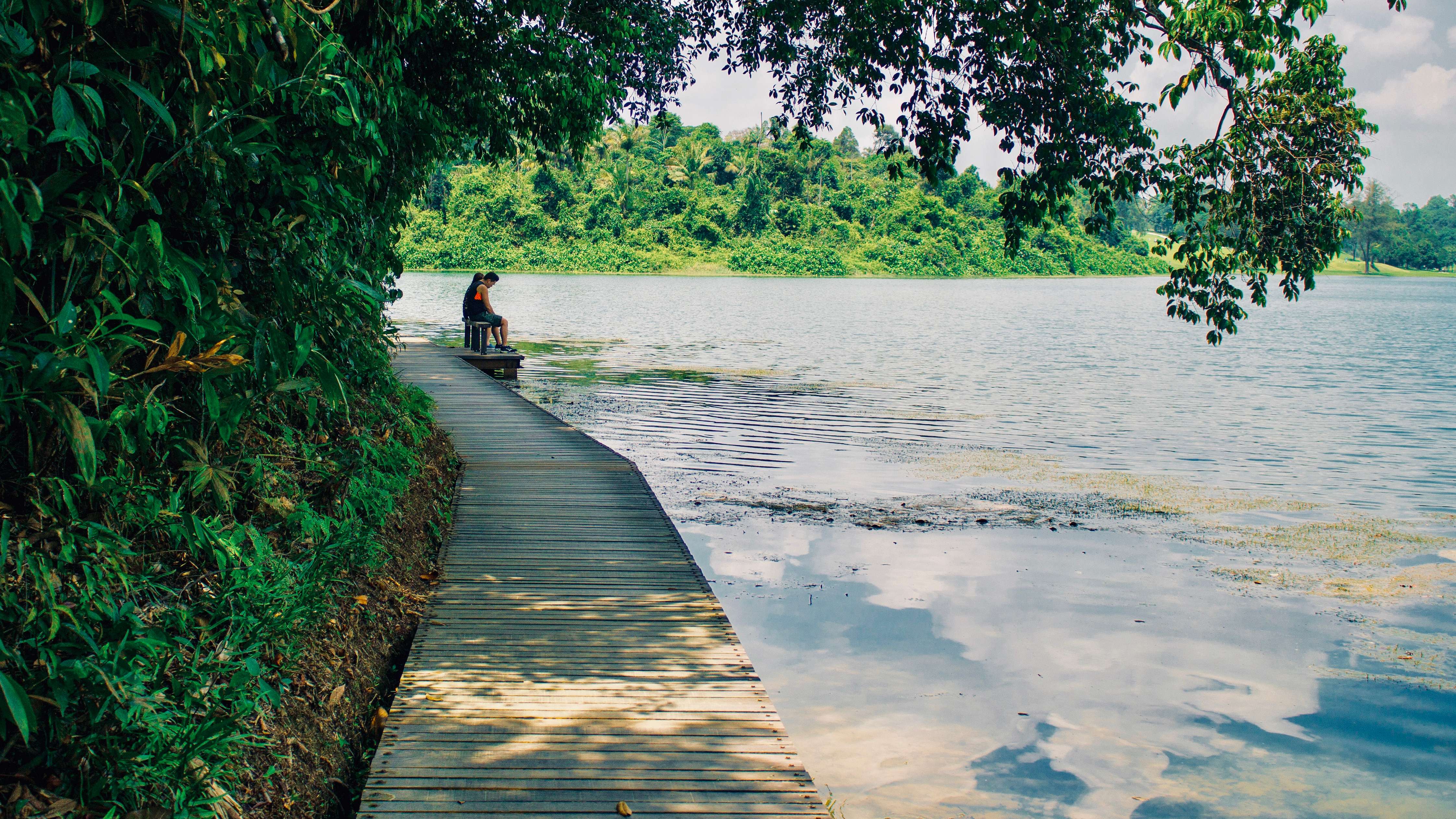 Trek at Macritchie Loop