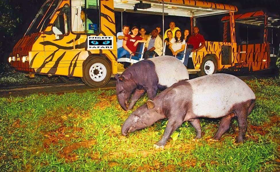 Take Wild Discoverer Tour