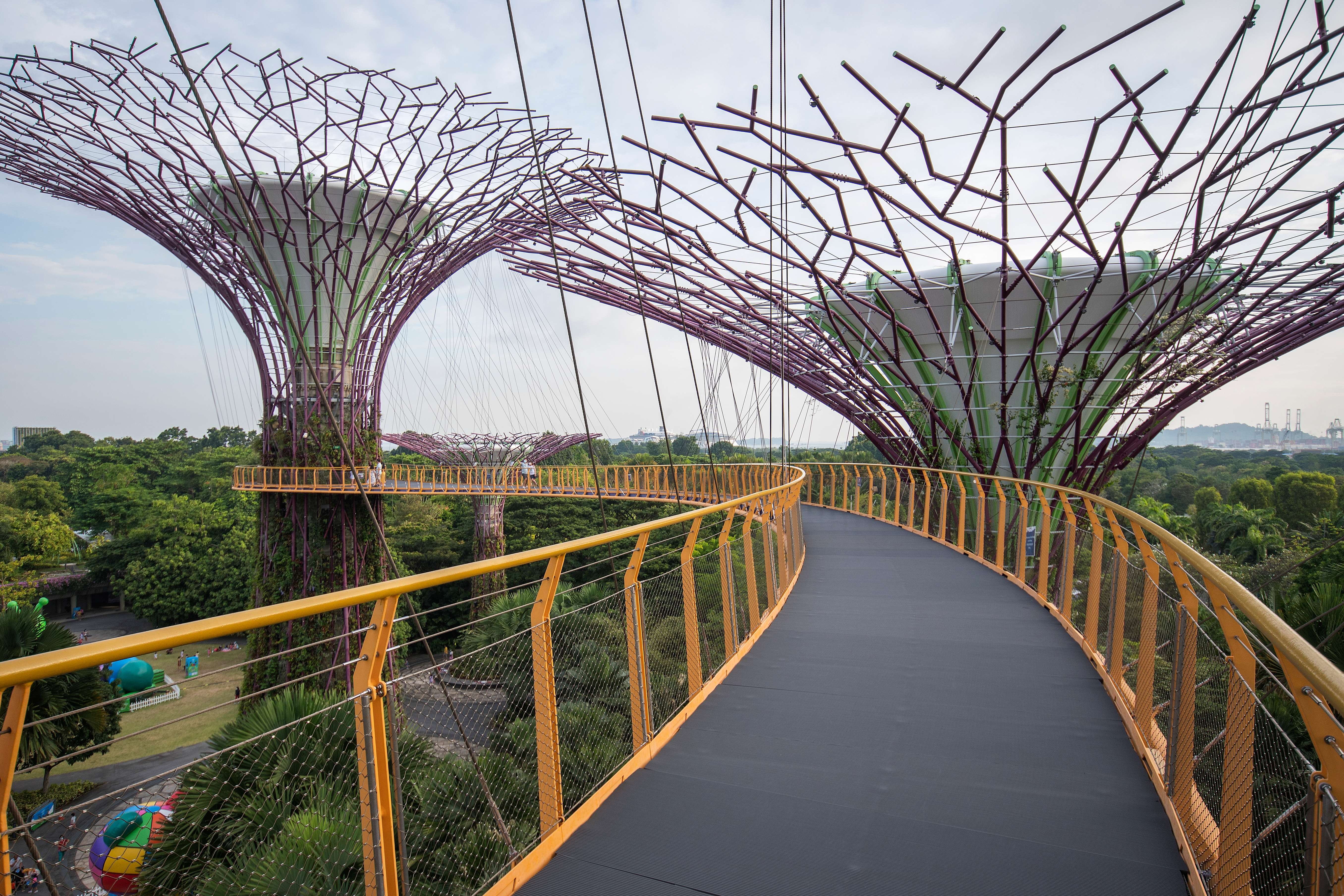 See the Supertree Up Close on Ocbc Skyway