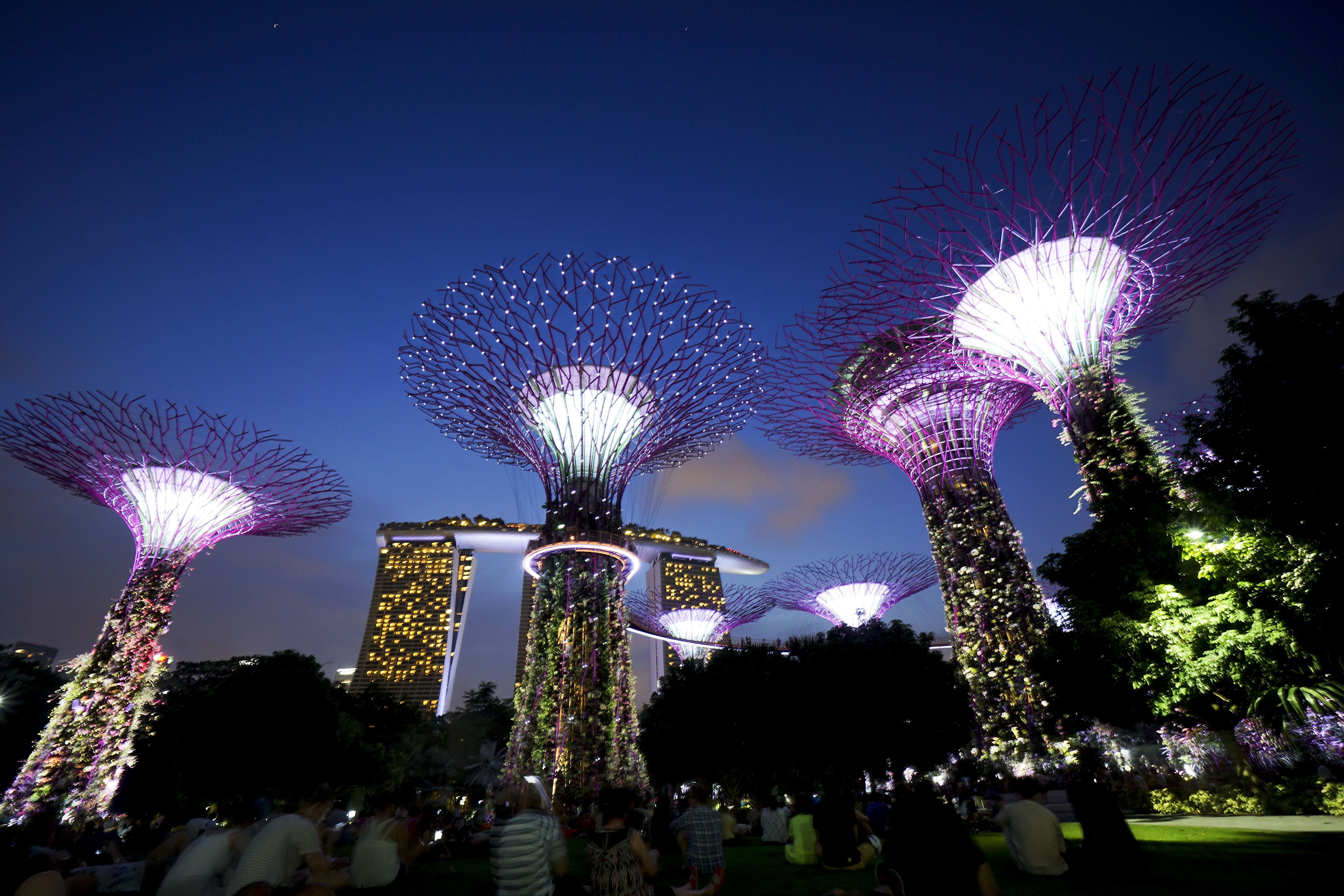 Garden Rhapsody – Light and Music Show