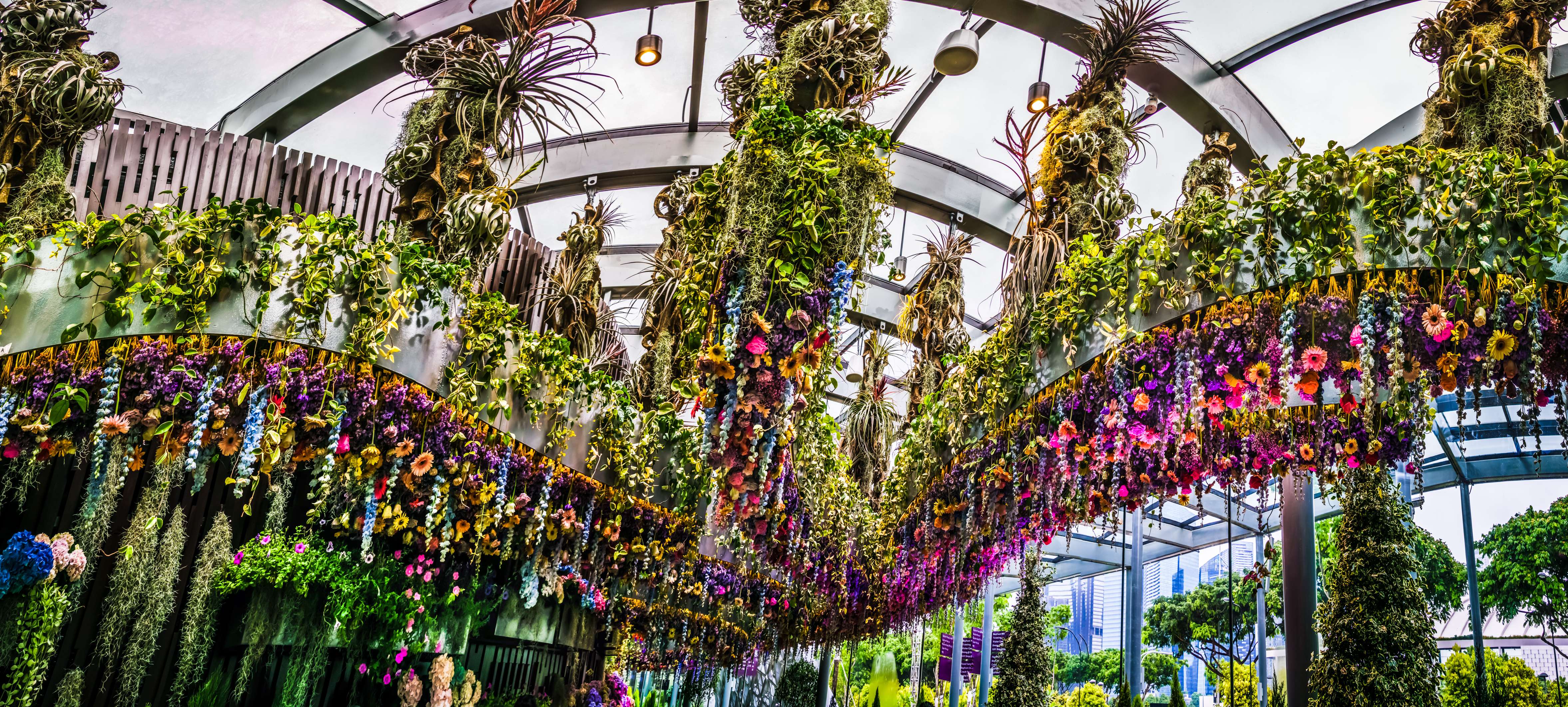 Lose Yourself Inside the Floral Fantasy