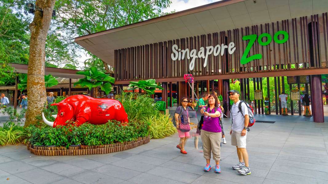 Explore the Singapore Zoo