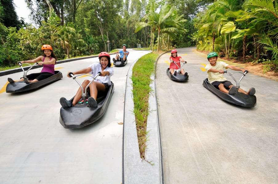  Discover Skyline Luge Sentosa