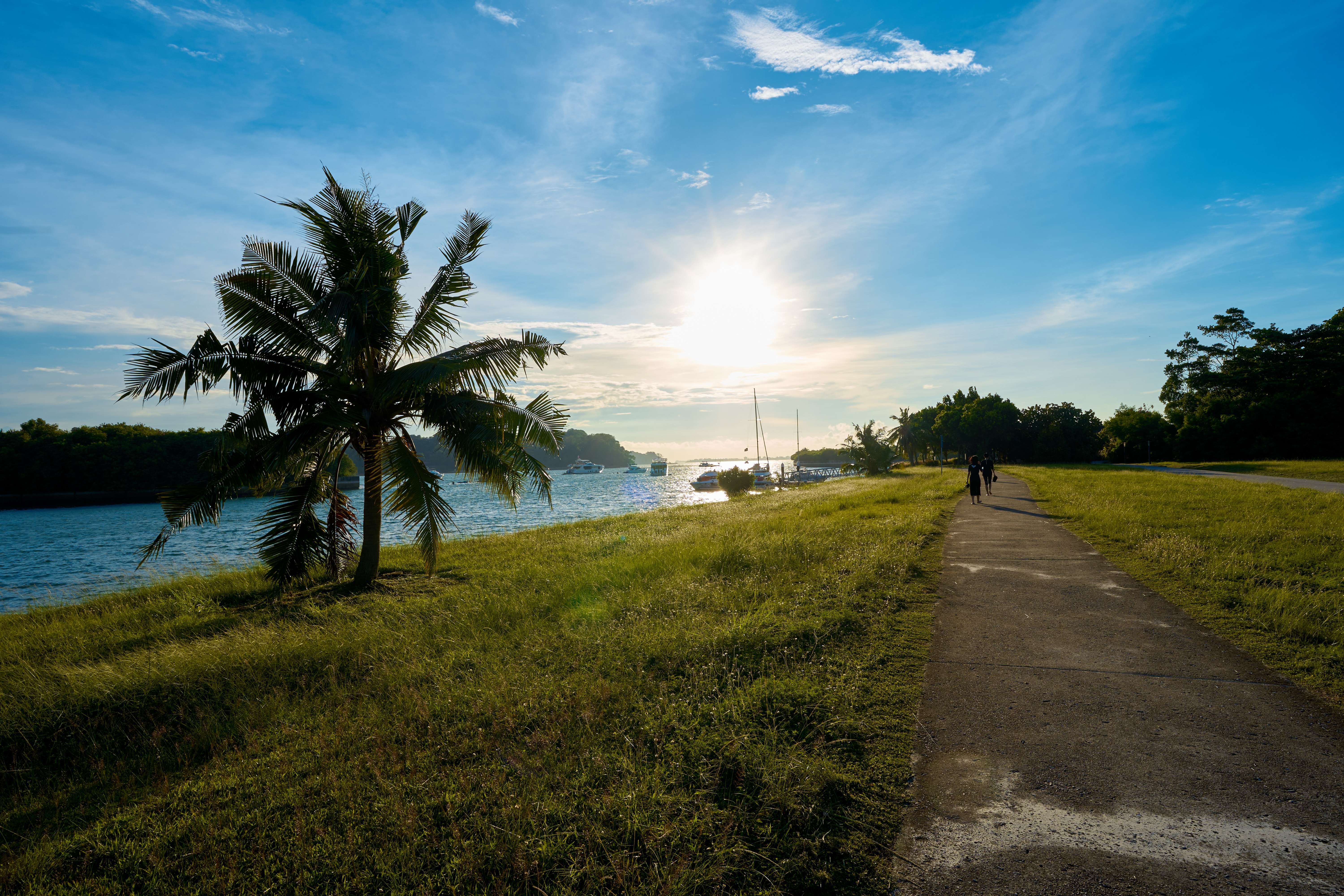 Take a Stroll by the Beach