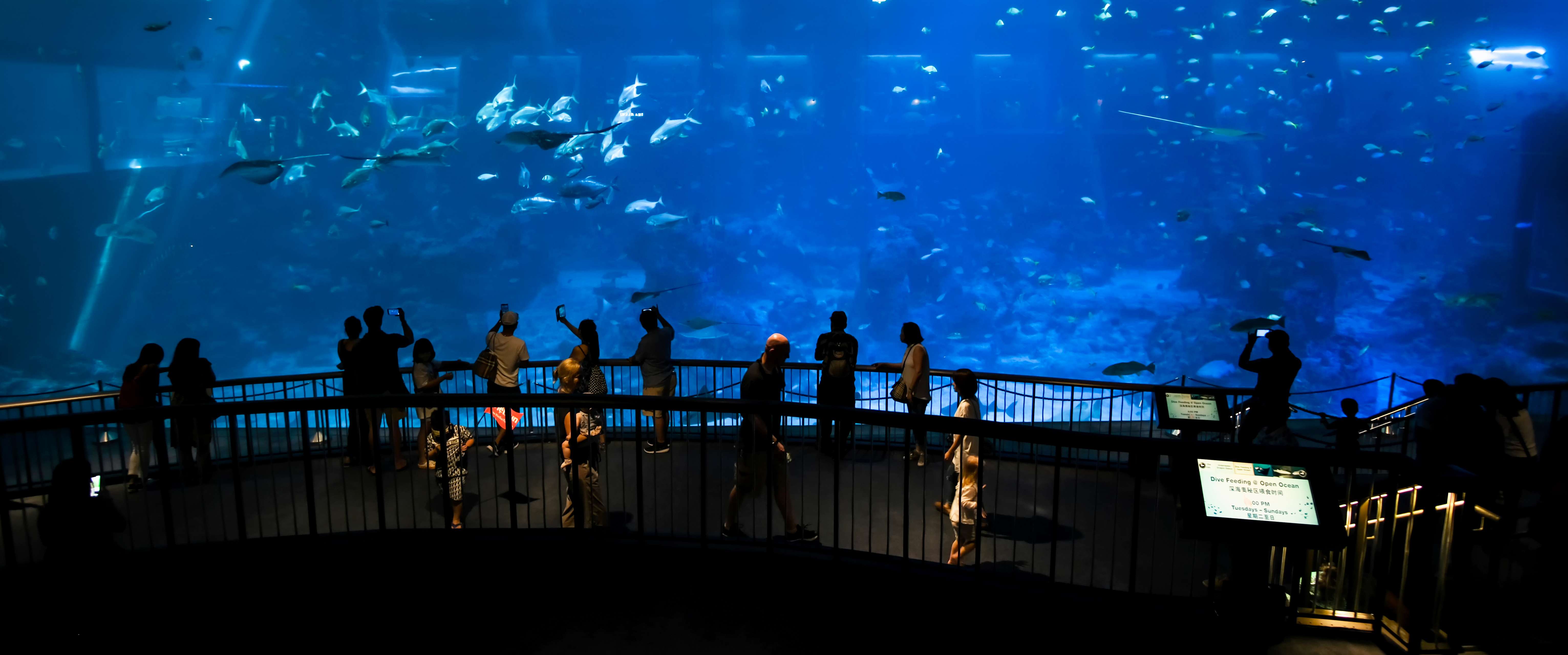 Go For A Brisk Walk To See Reefs