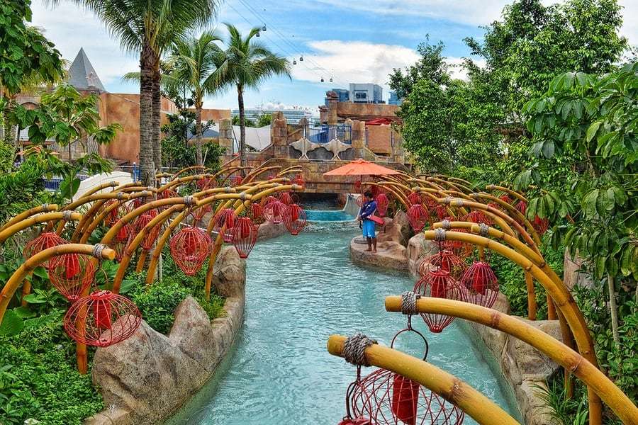 Get Splashed at The  Adventure Cove Waterpark