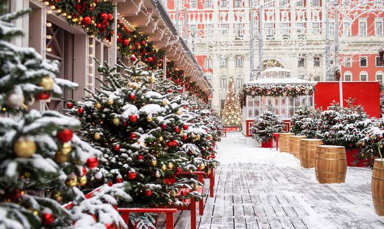  Attend The Christmas Wonderland 