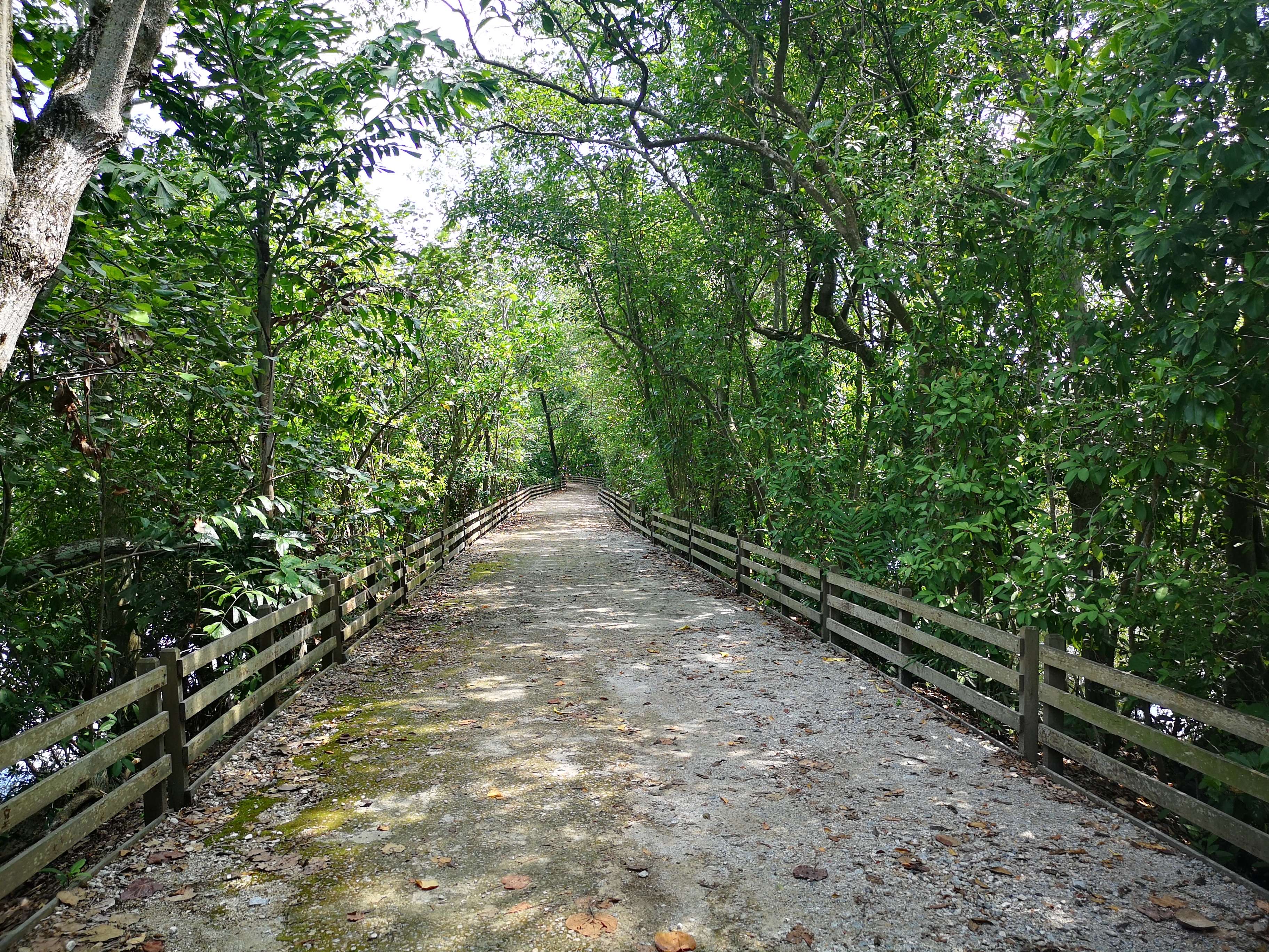 Strolling  on Boardwalk