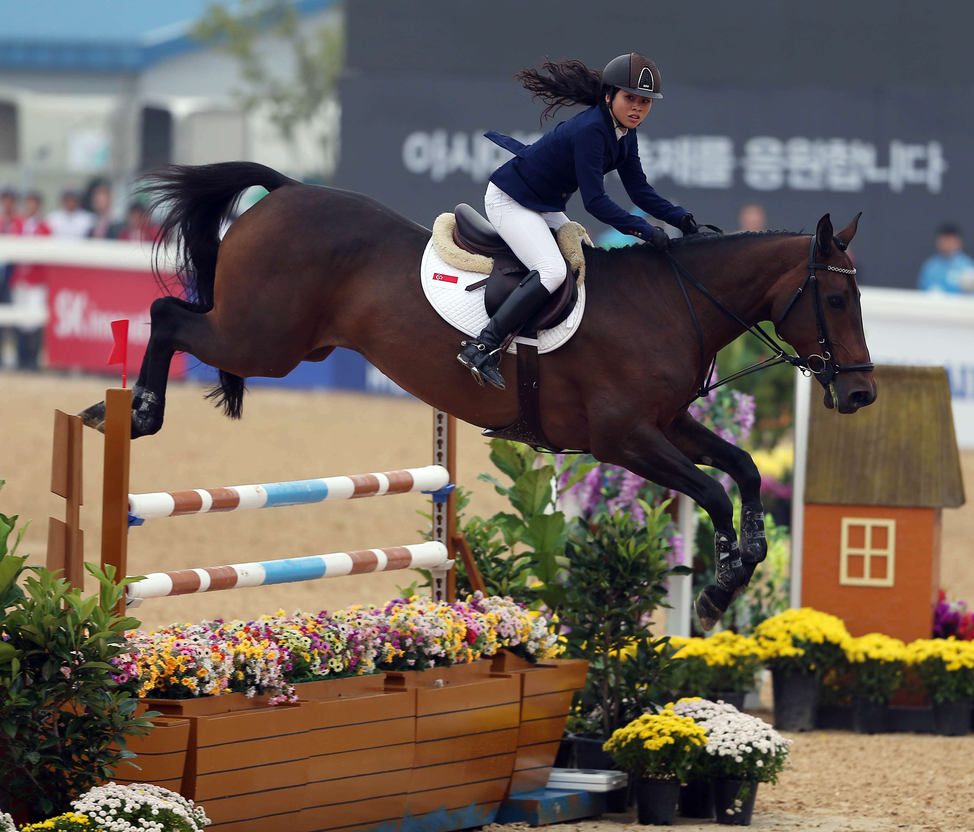 Enjoy the Adventurous Journey with A Horse