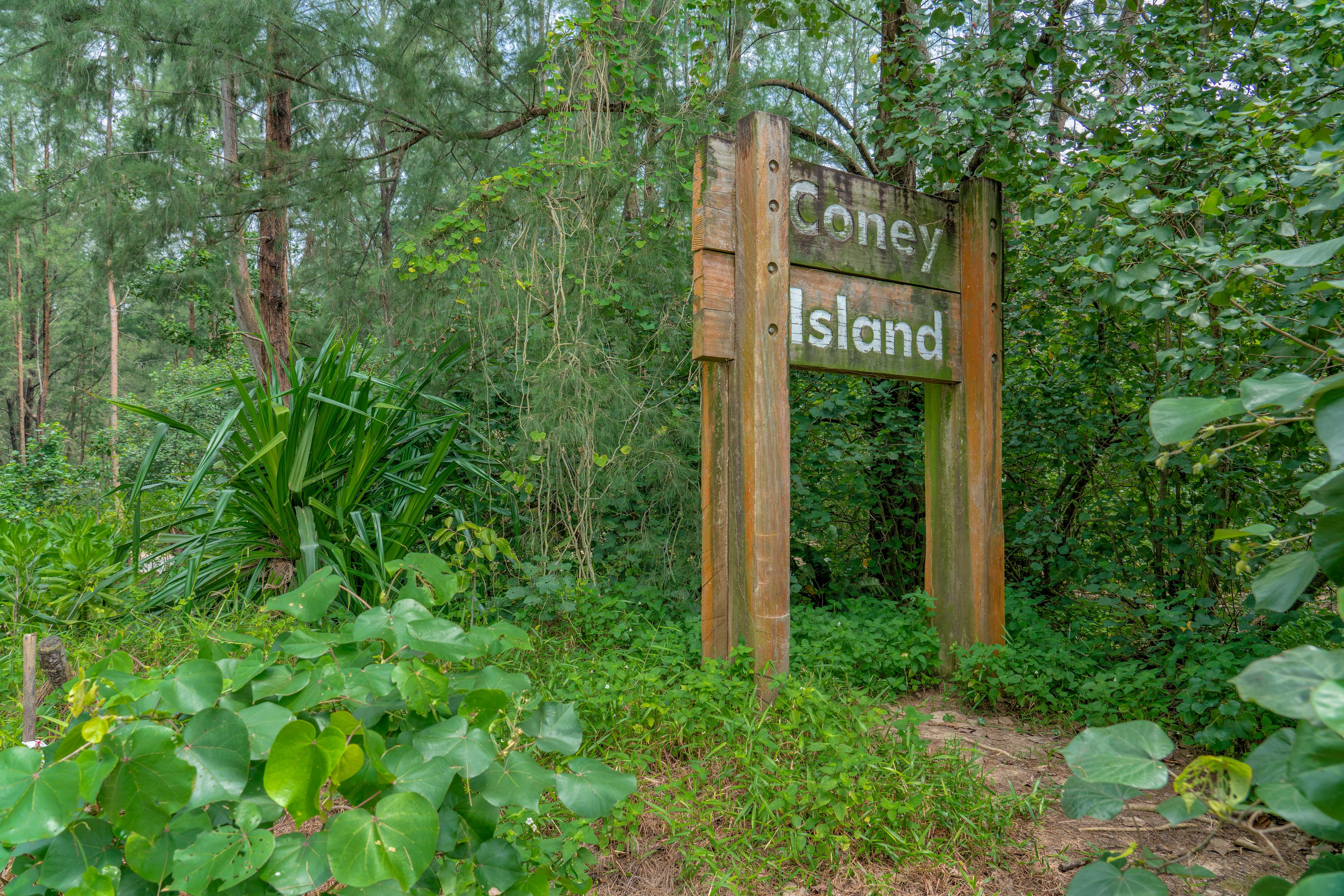 Take A Long Walk for Two Hours