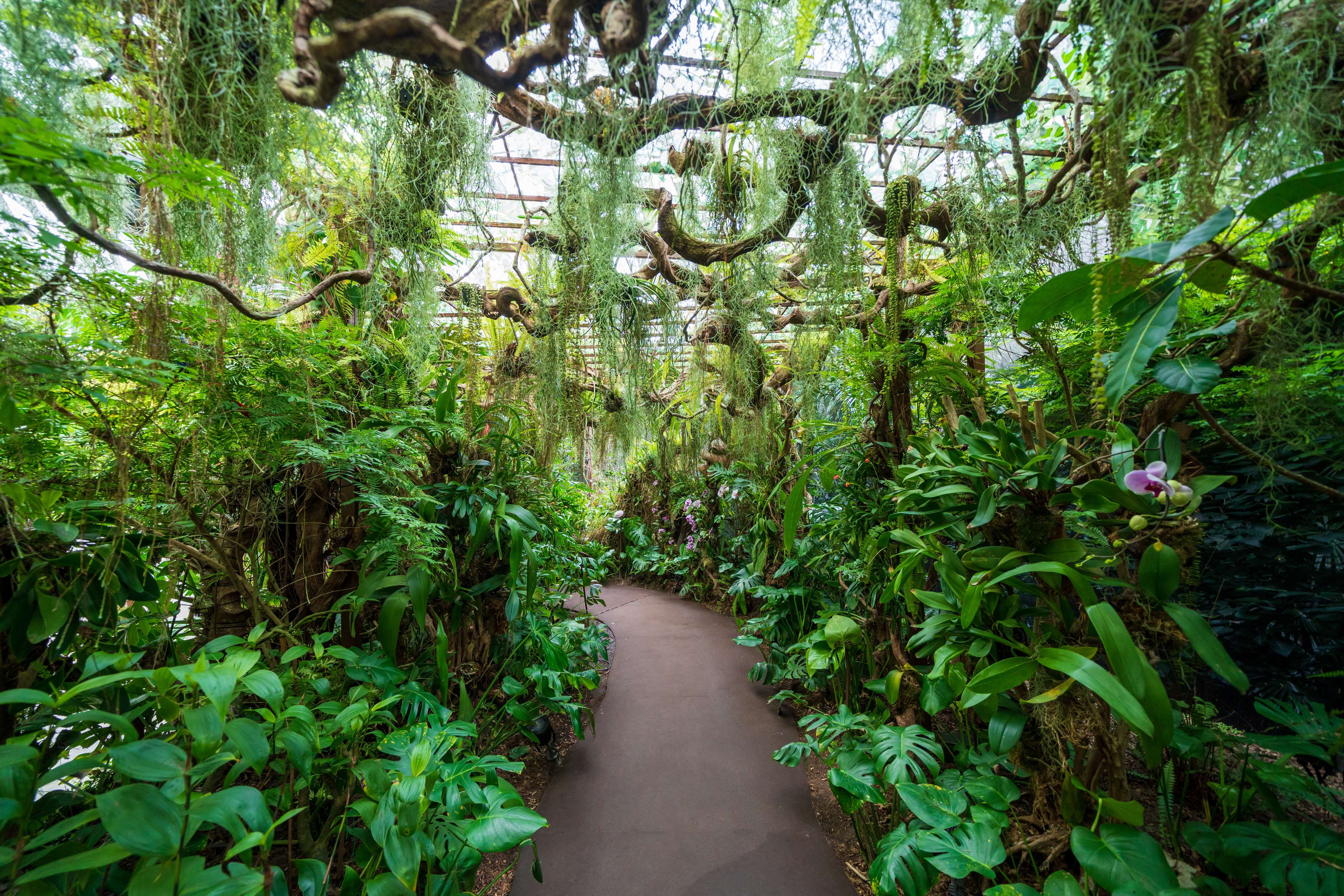 Discover a World in Midst of Cloud Forest