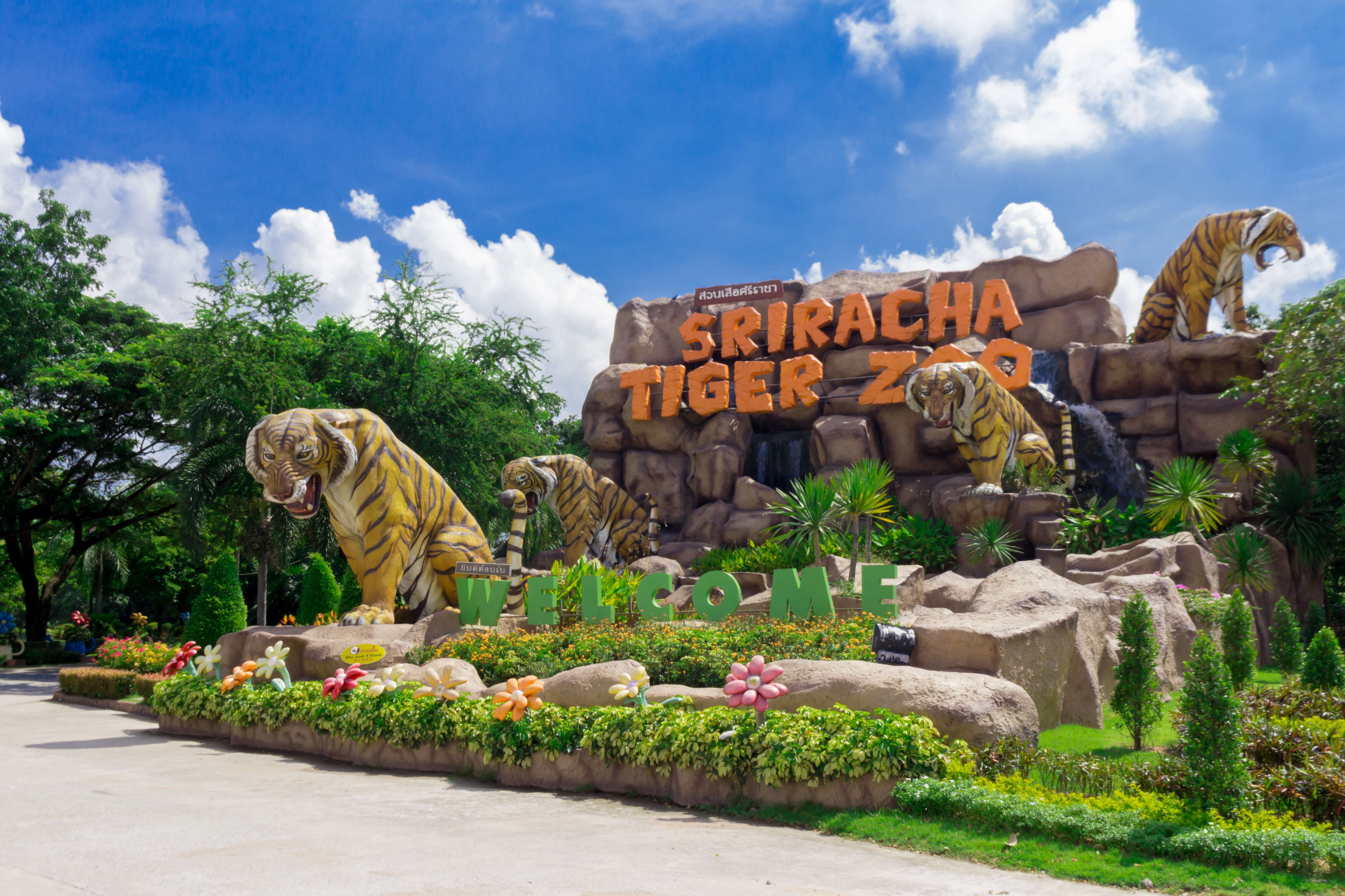 Sriracha Tiger Zoo