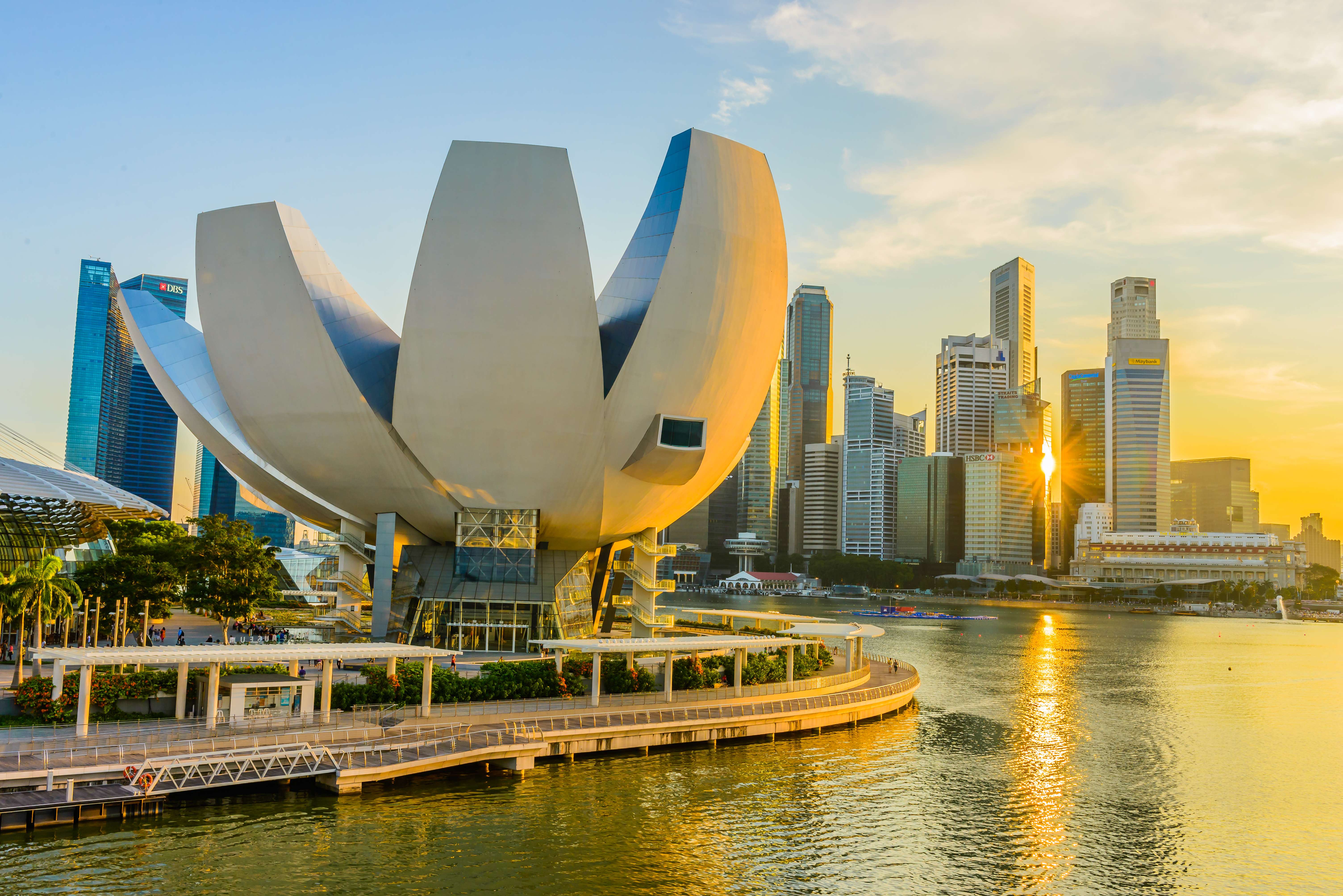 Explore Art Science Museums