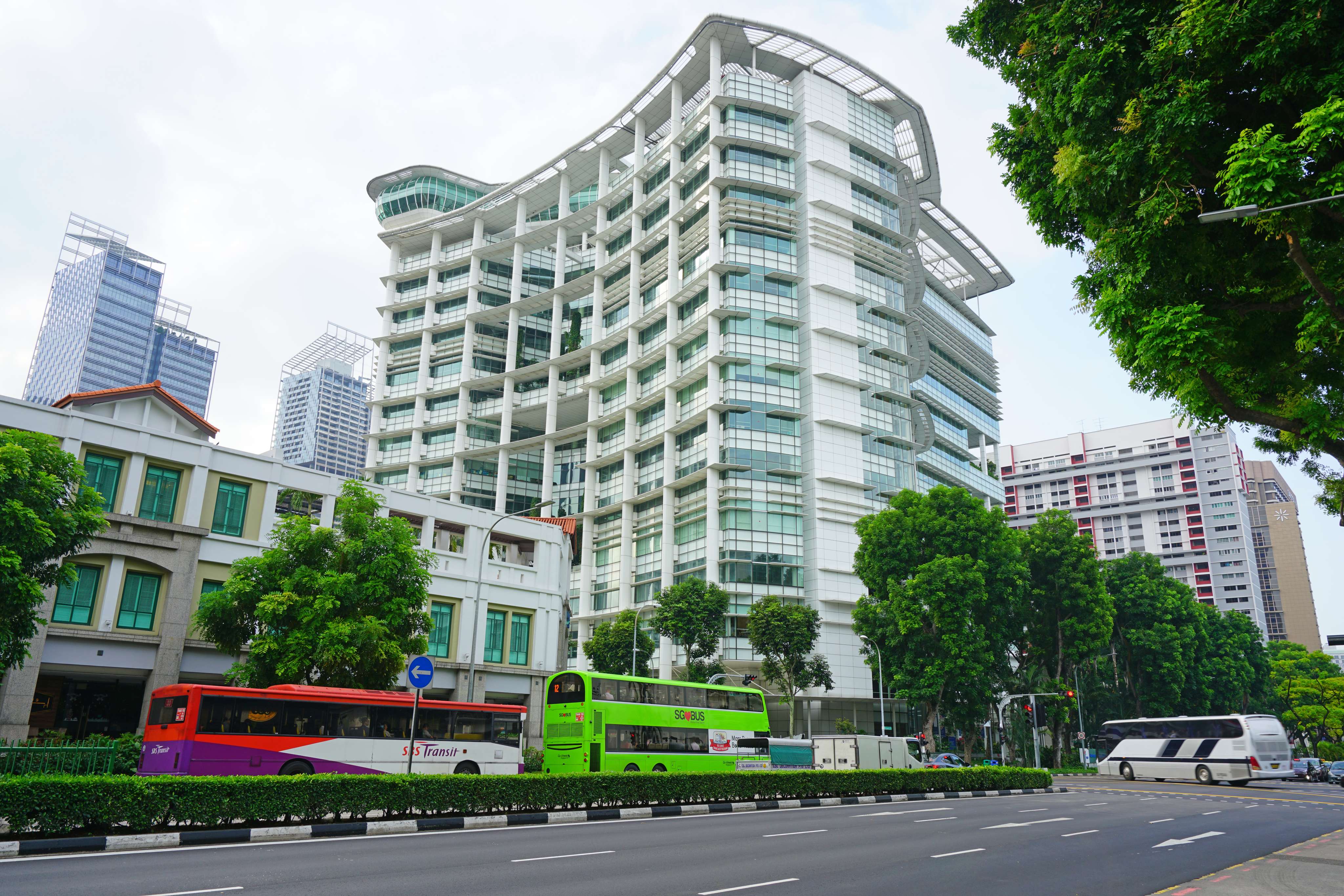 The Amazing National Library