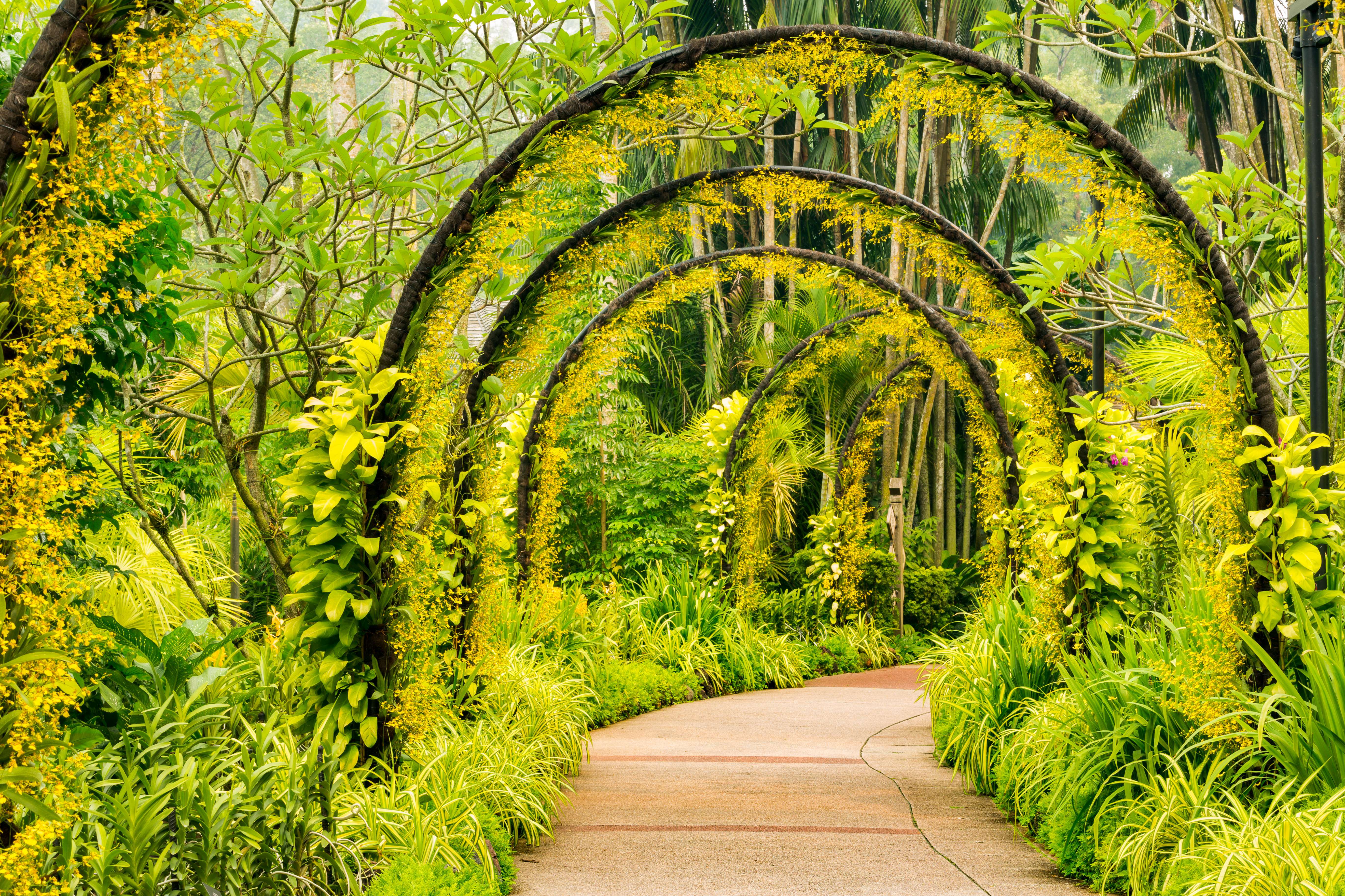 Take an Evening Stroll at National Orchid Garden