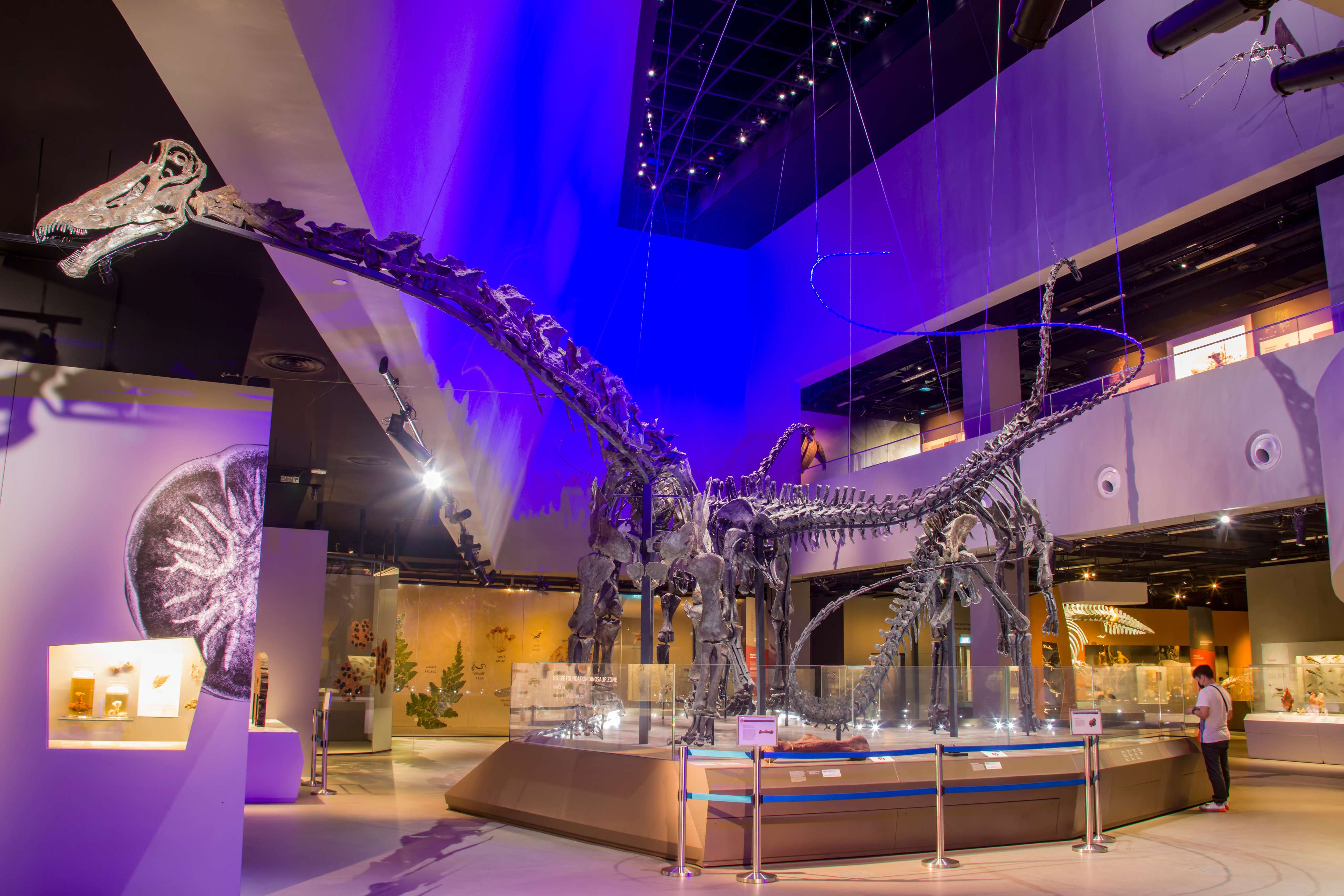 Enlighten Yourself at Lee Chian Natural History Museum