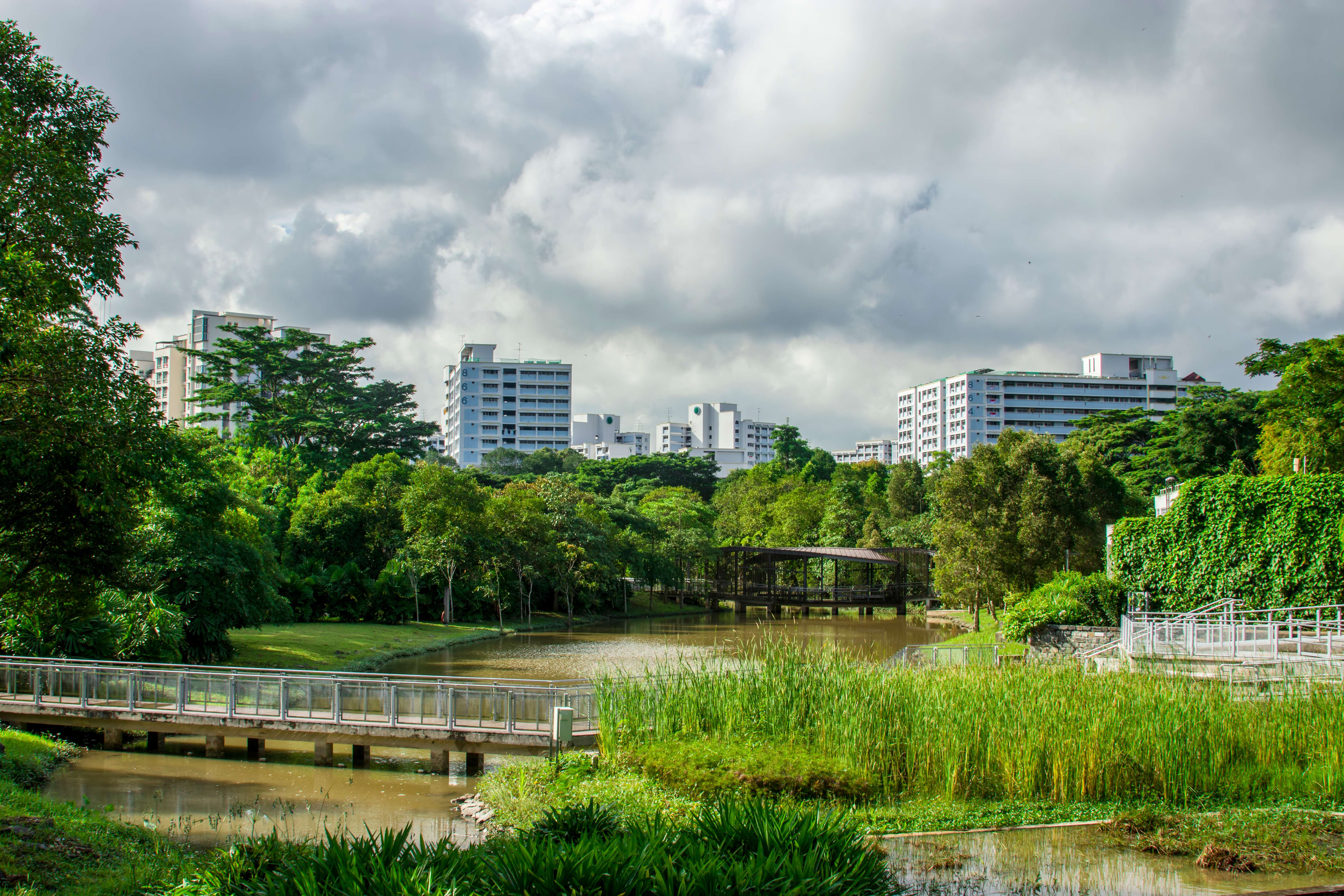 Spend Leisurely Time at Jurong Eco-Garden