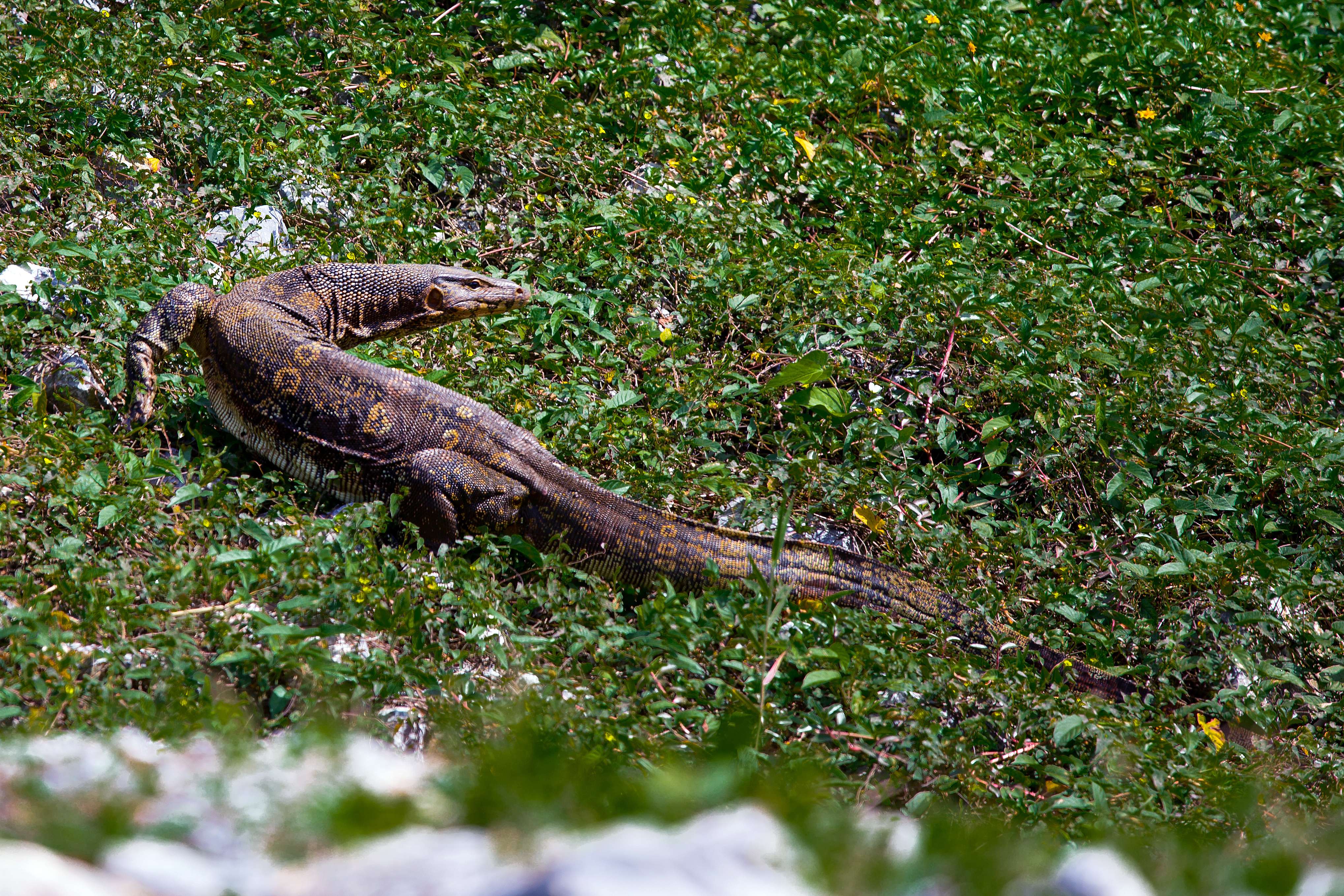 Khao Sam Lan National Park