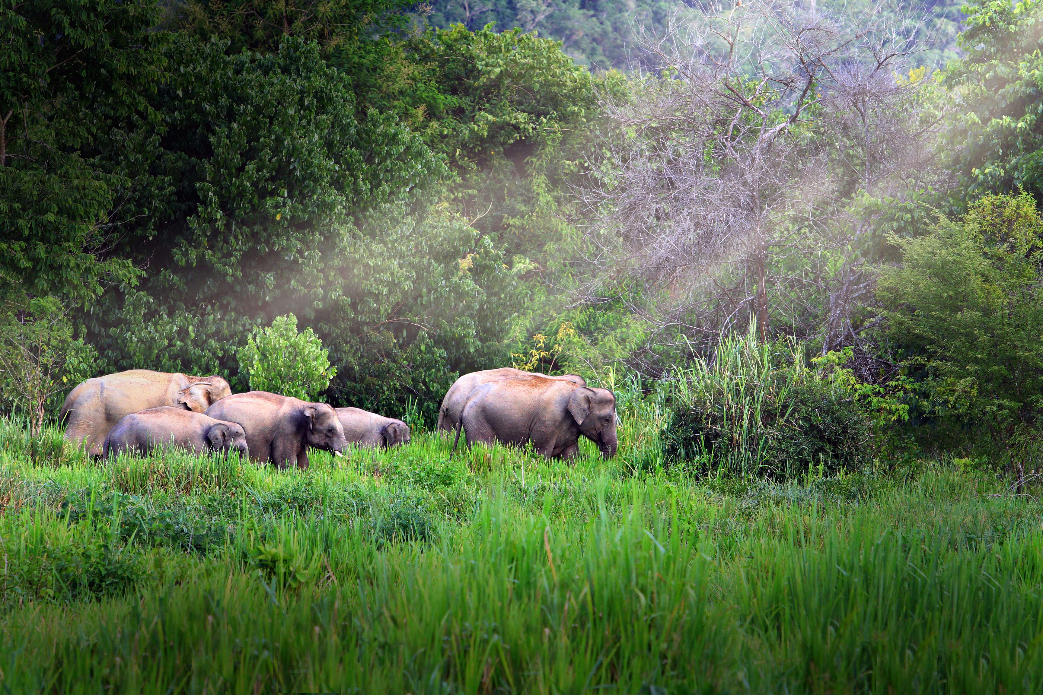 Kui Buri National Park