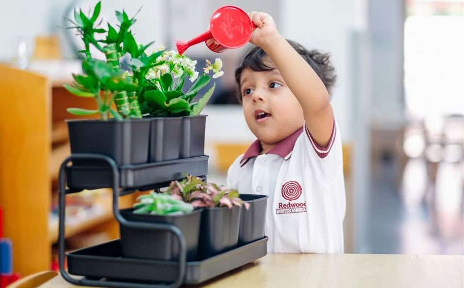 7 Wonders of the World