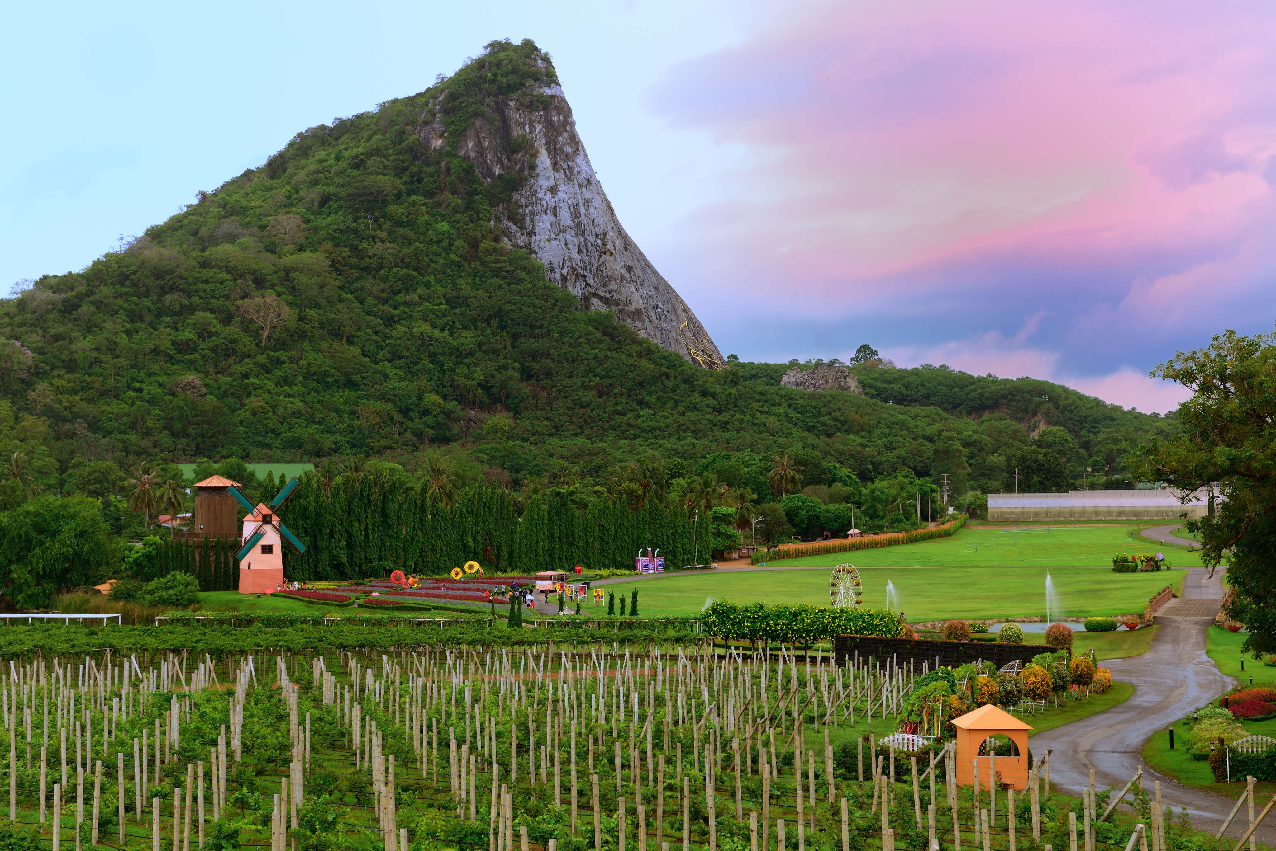 Finding Peace at Silverlake Vinelake