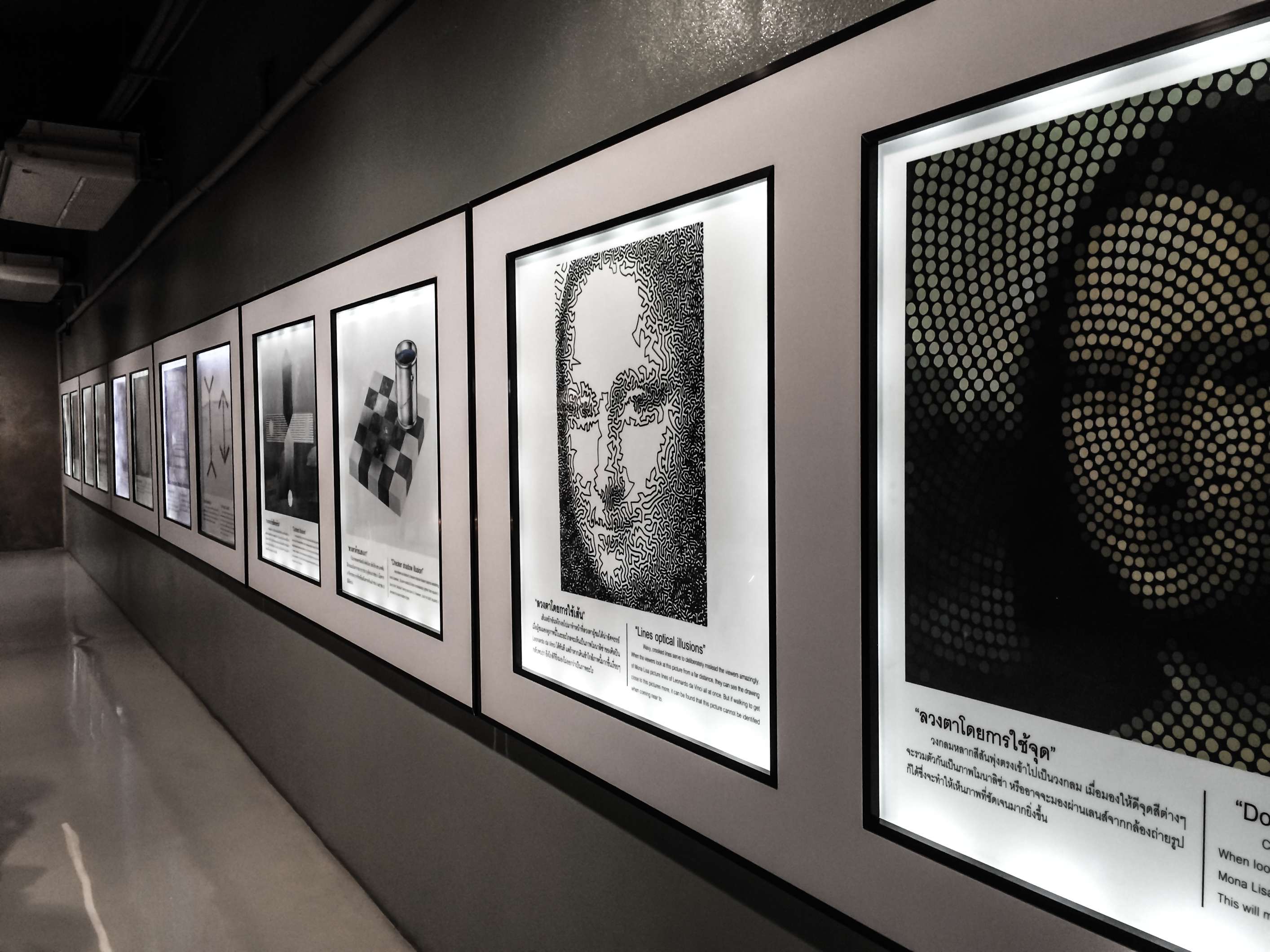 Experiencing Art in Paradise