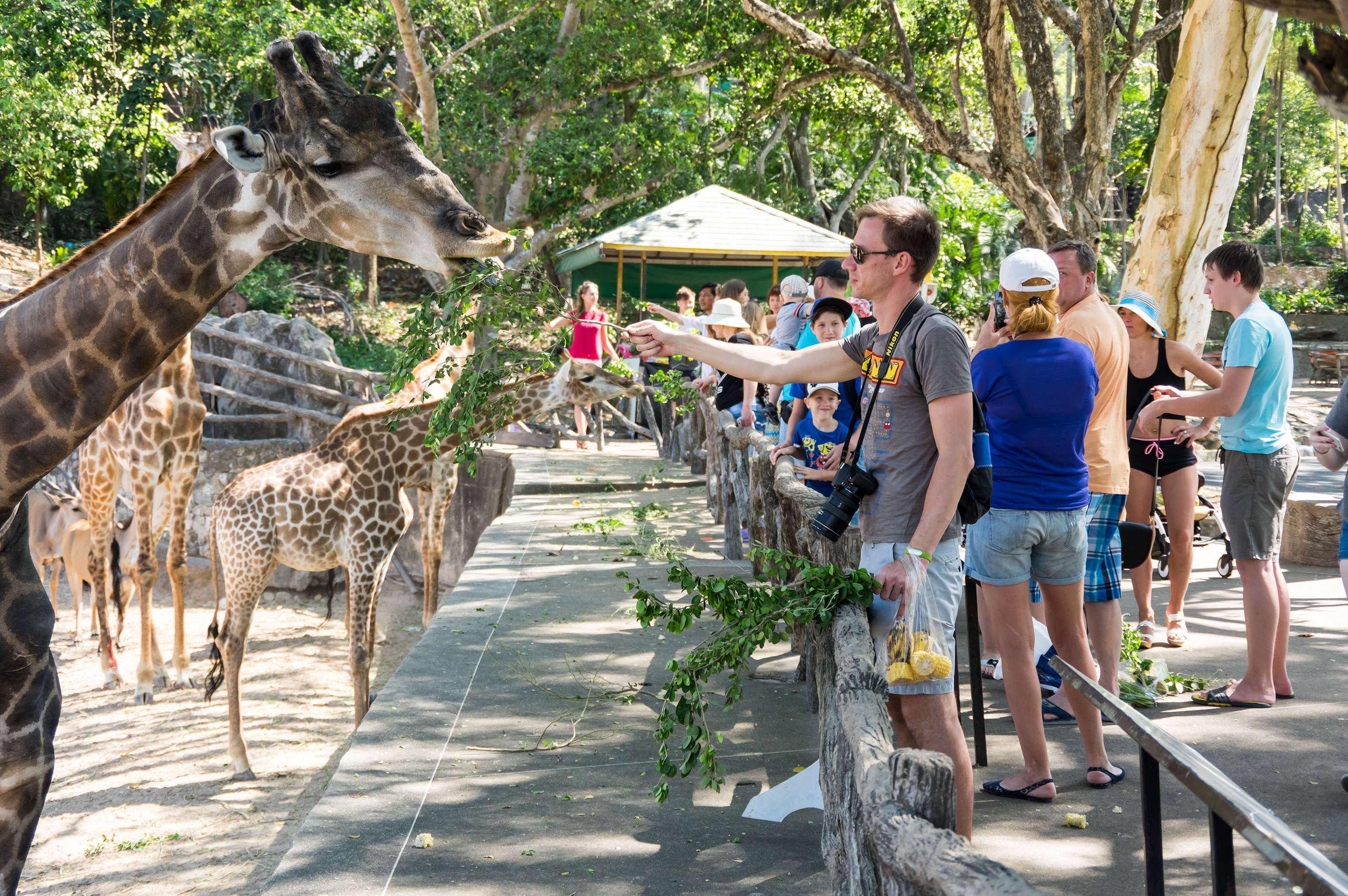 Visiting Khao Kheow Open Zoo