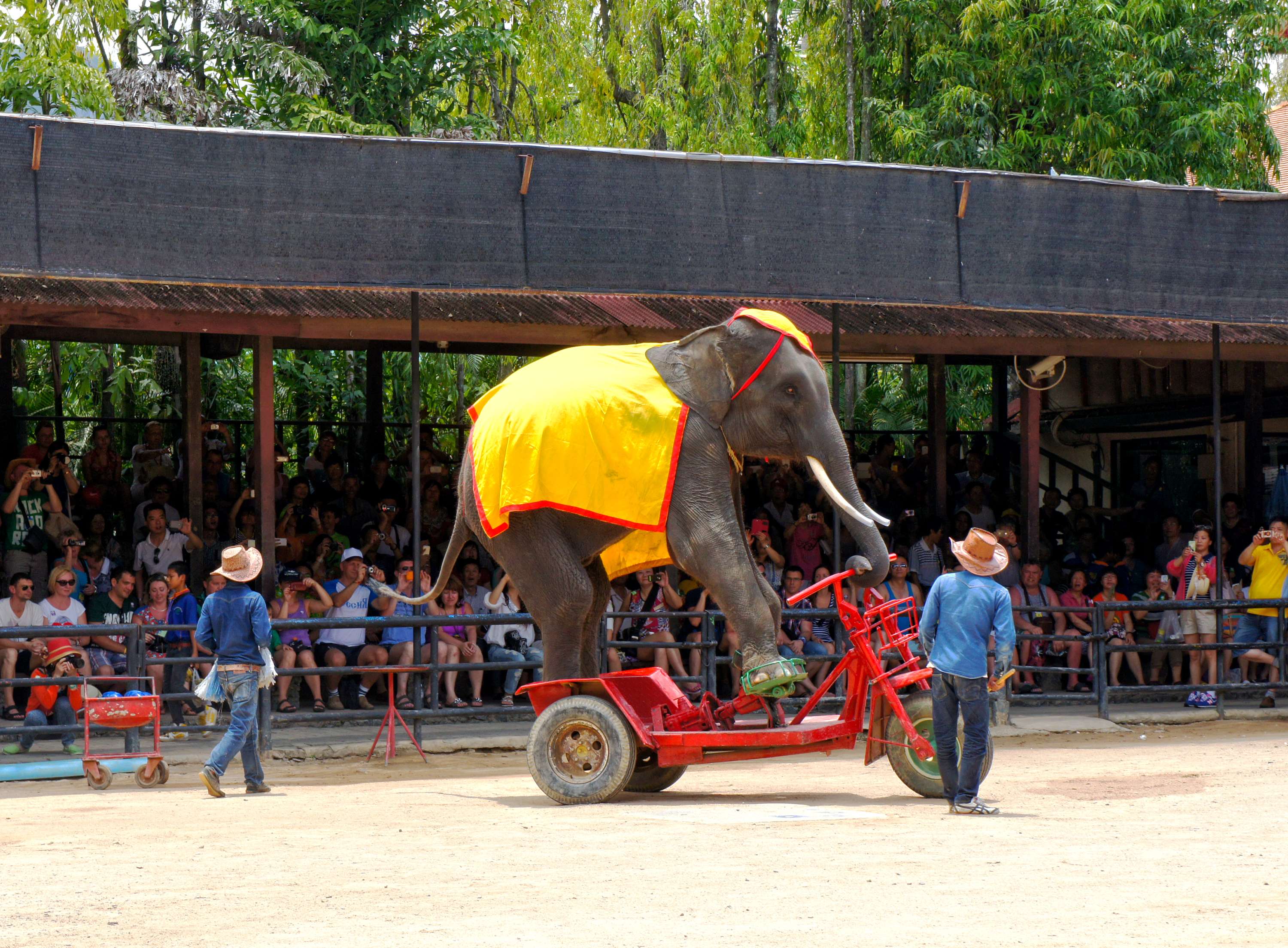 Watching Alangkarn Pattaya Show
