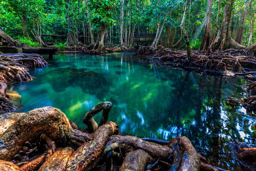 Swim in the Beautiful Emerald Pool
