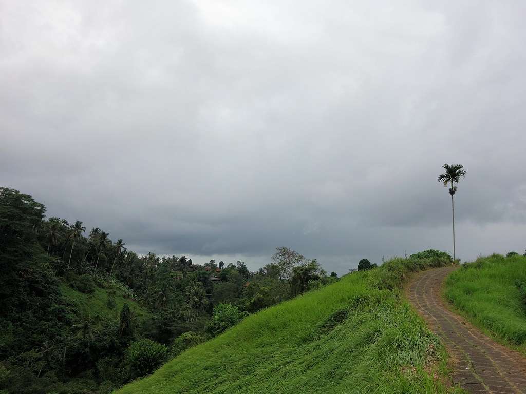 Take a Walk at Campuhan Ridge