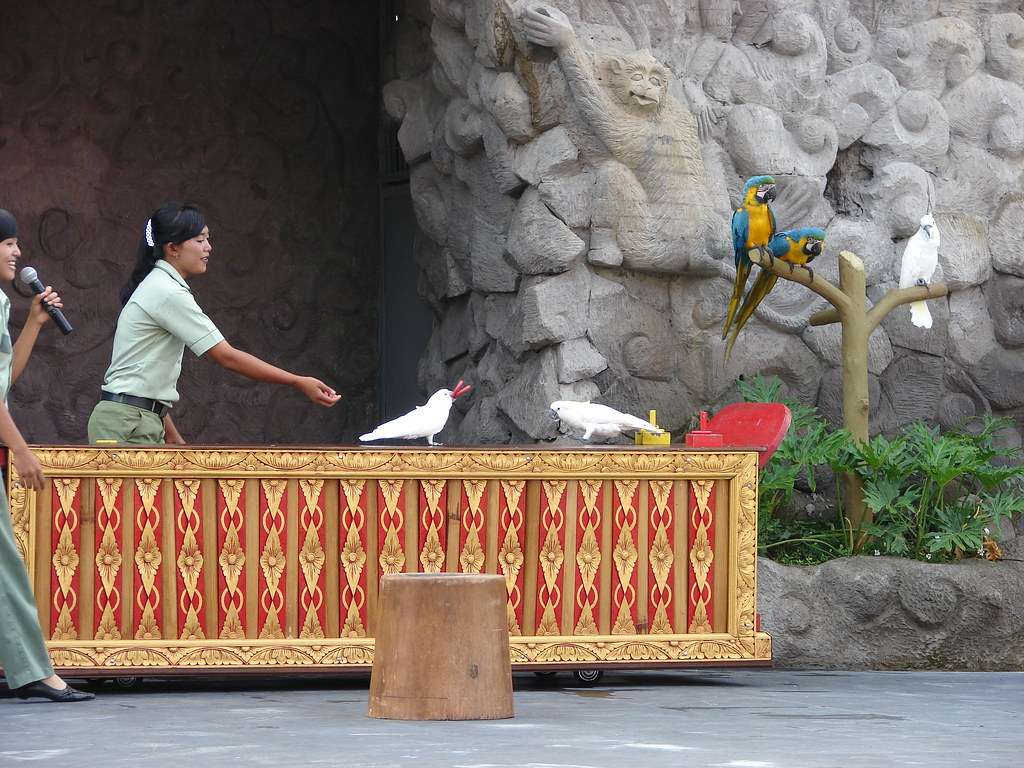 Enjoy a Visit to Bali Safari & Marine Park