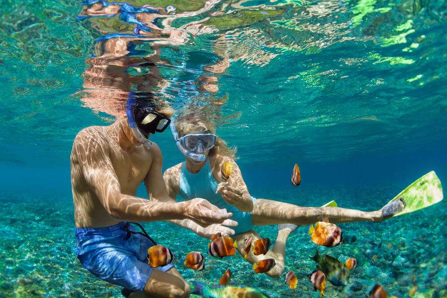 Enjoy Snorkeling 
