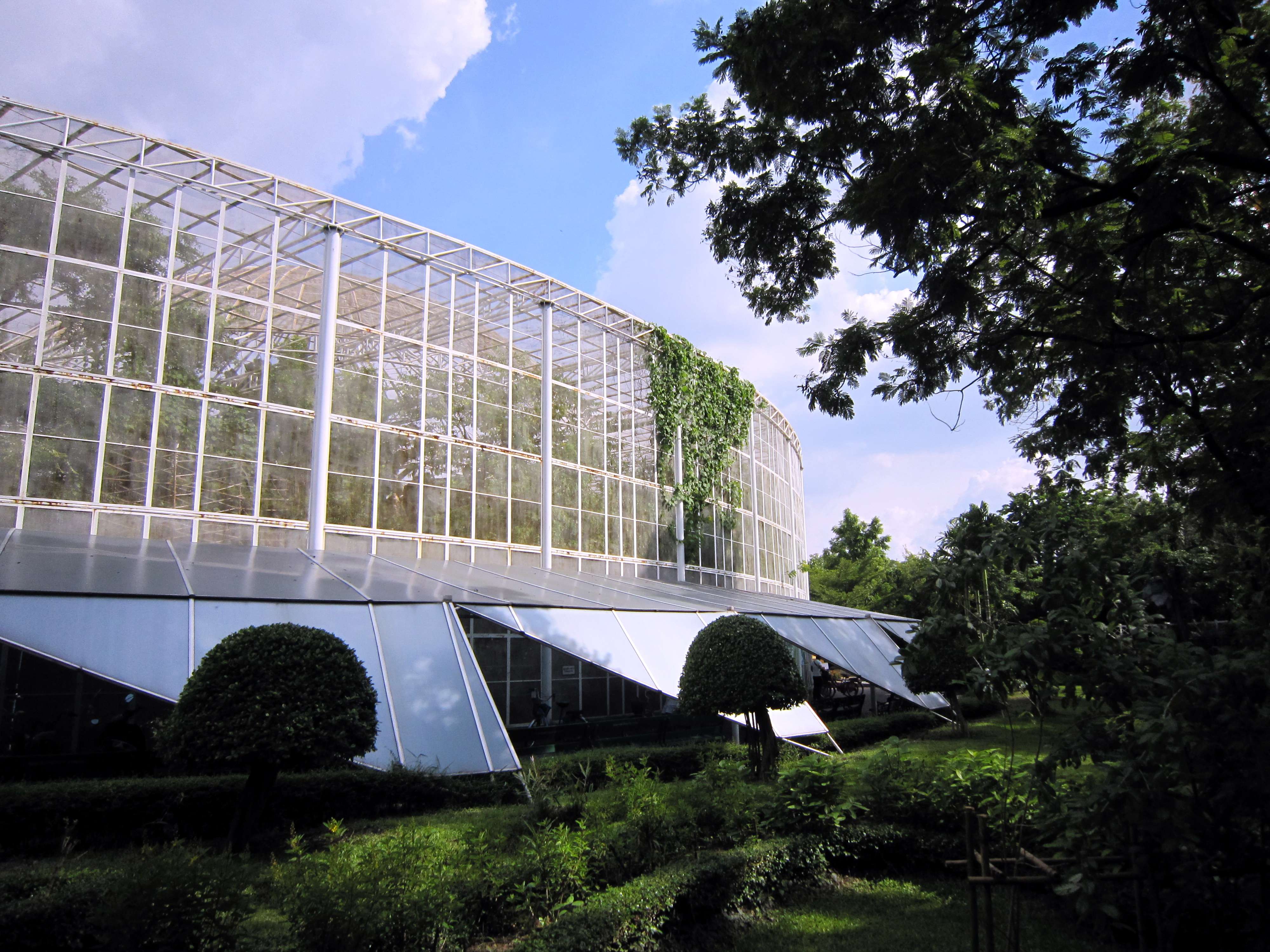  Bangkok Butterfly Garden & Insectarium