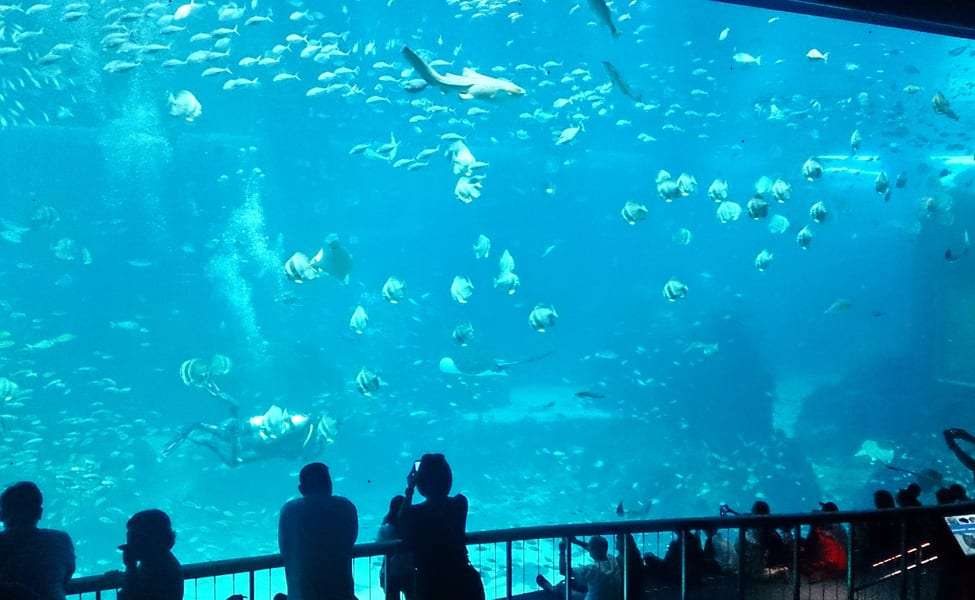 Learn New Things at The National Marine Laboratory