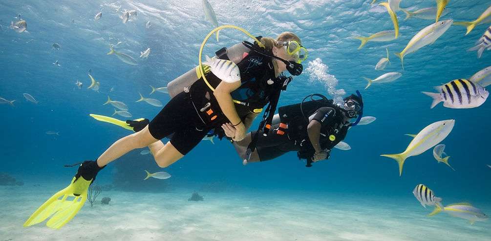 Try Scuba Diving