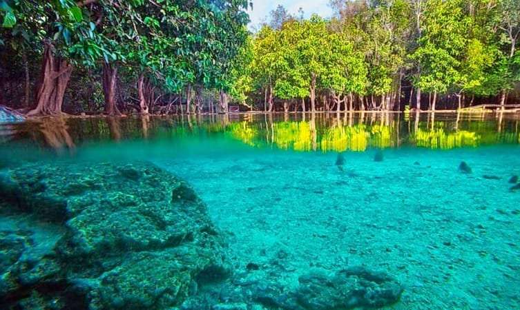 Explore Beauty of Thung Teao Natural Park