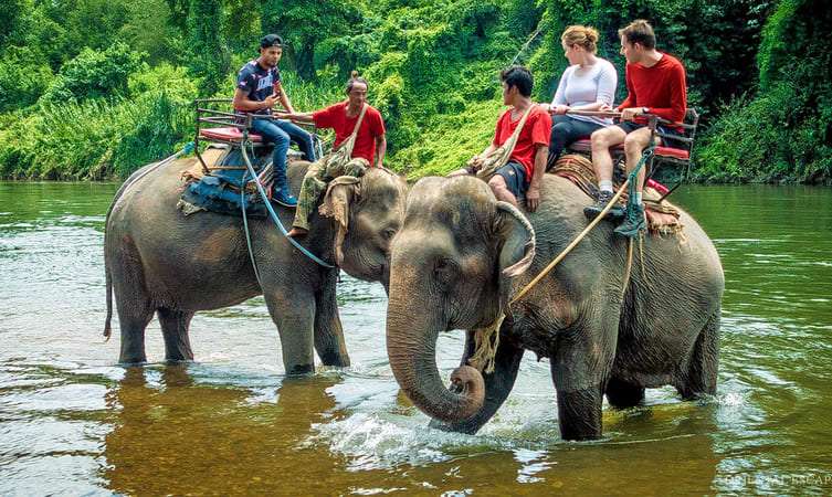 Elephant Ride at Krabi Elephant Camp