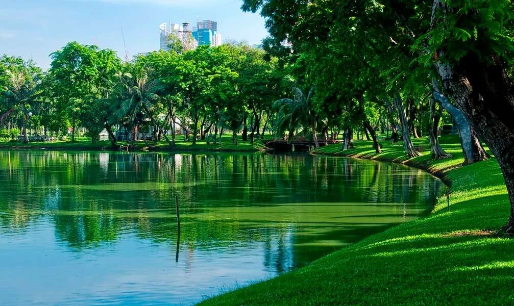 Finding Peace at Lumphini Park