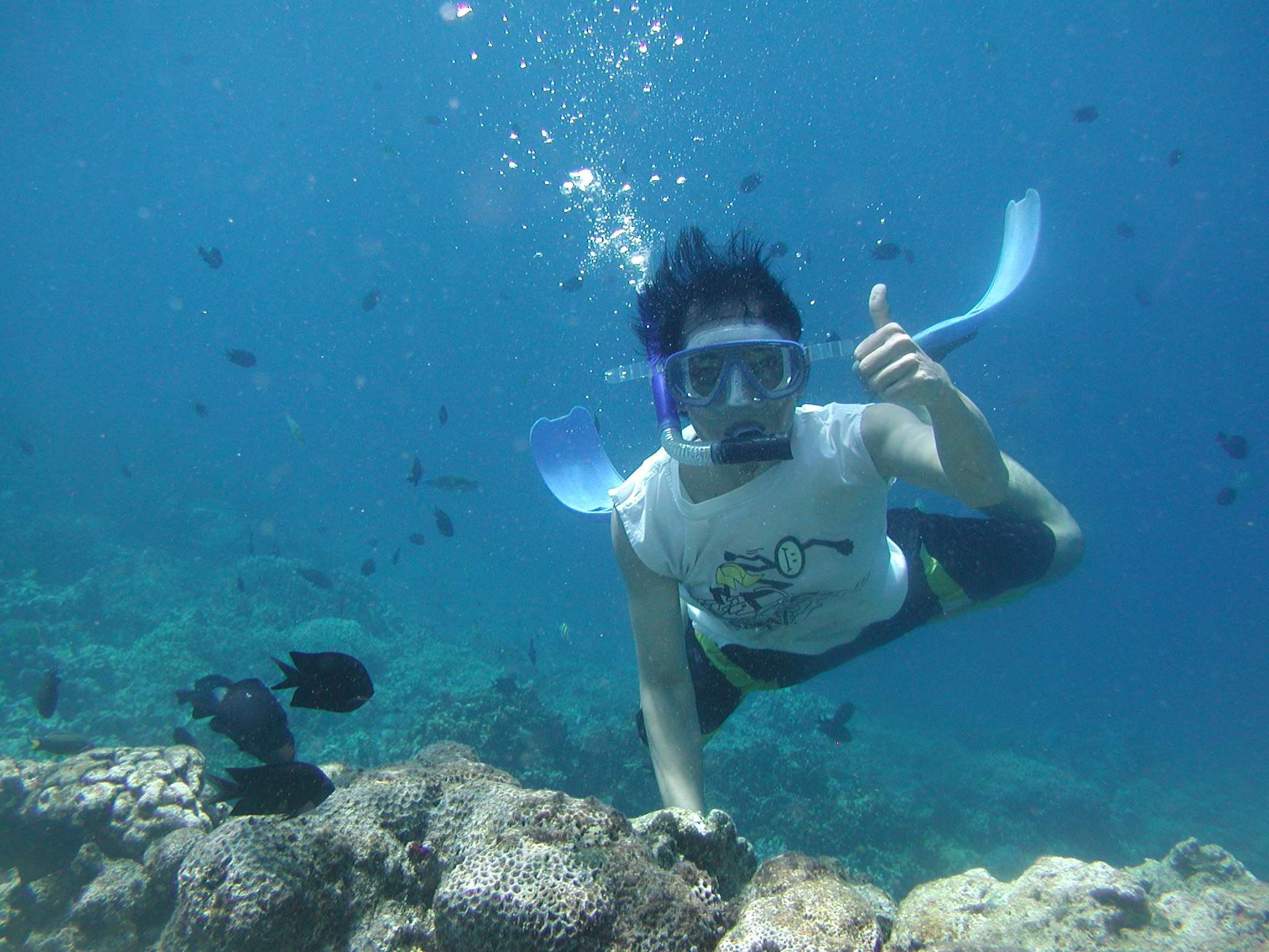 Go Snorkelling and Diving