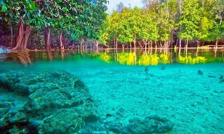 Experience Beauty of Thung Teao Forest Natural Park