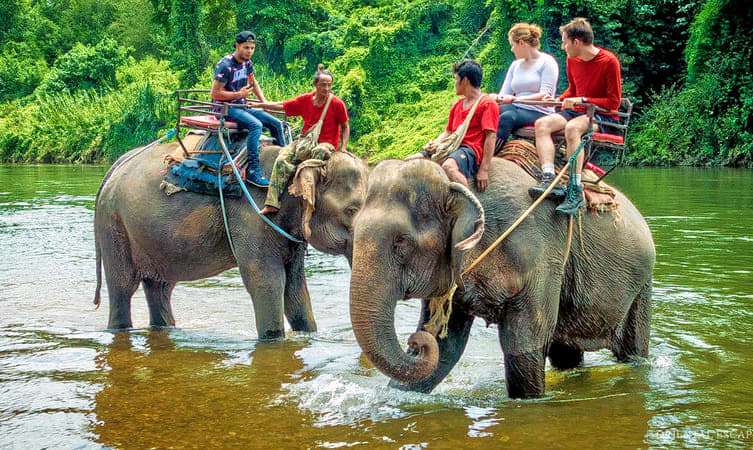 Elephant Ride at Krabi Elephant Camp