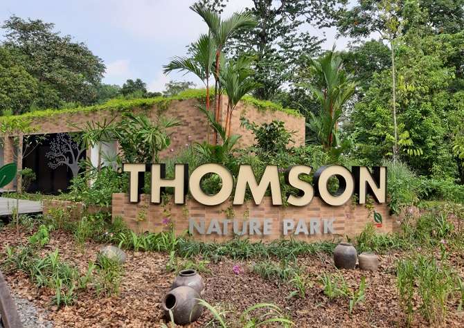  Thomson Nature Park