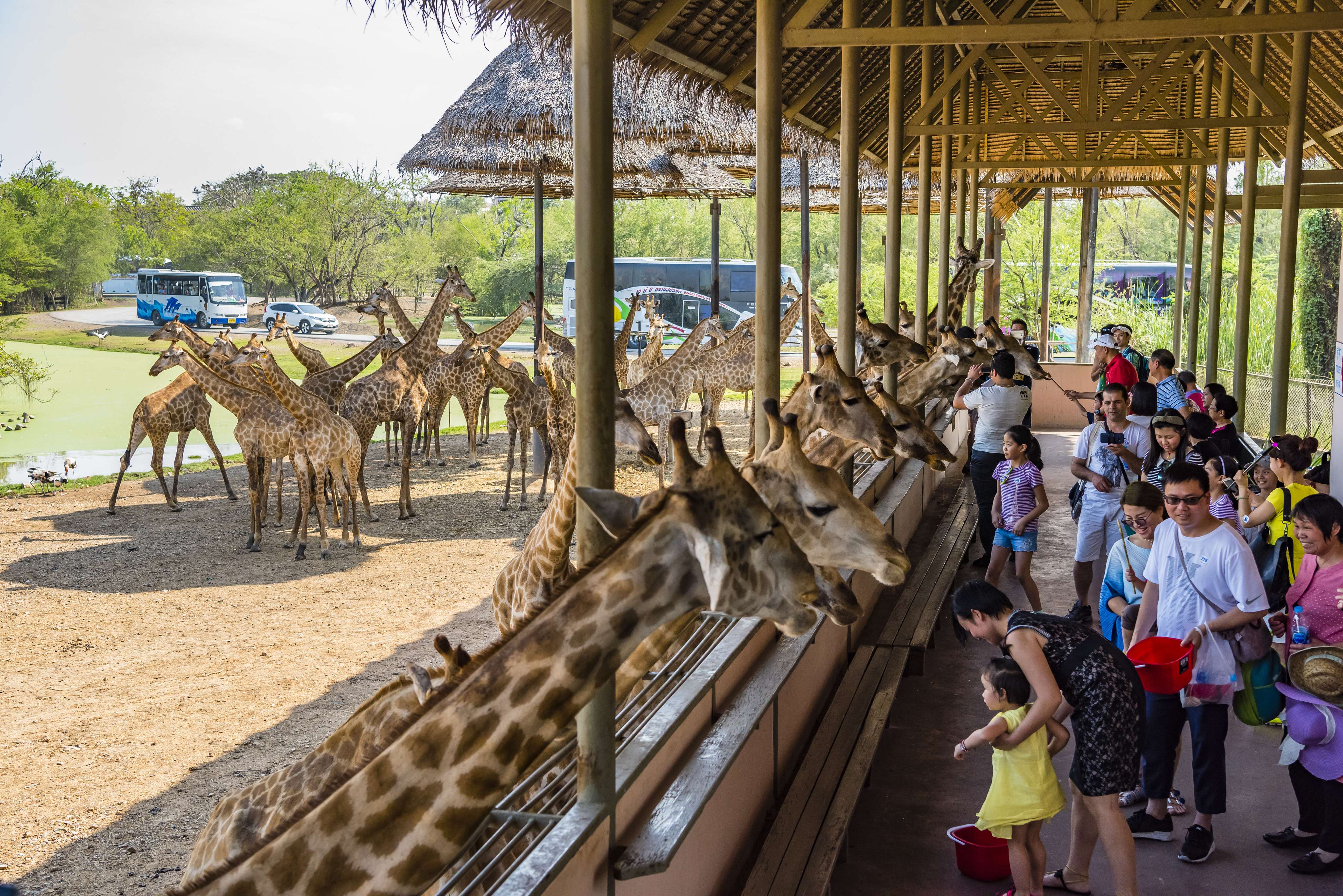 Safari World And Marine Park