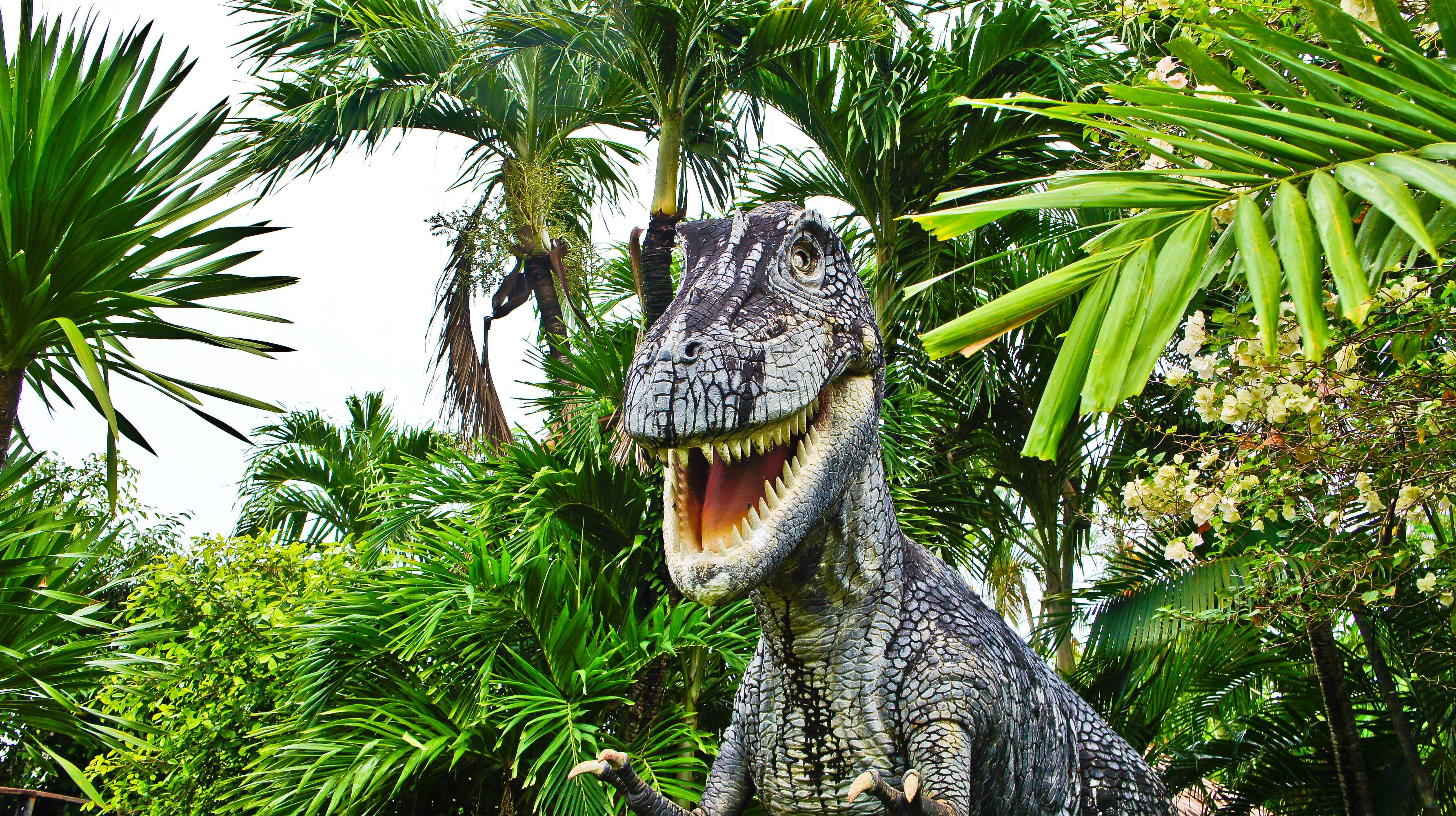 Play A Game At Dino Park Mini Golf