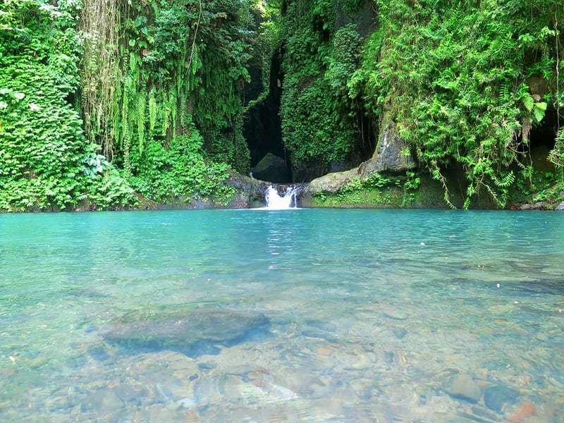 The Secret Gardens of Sambangan