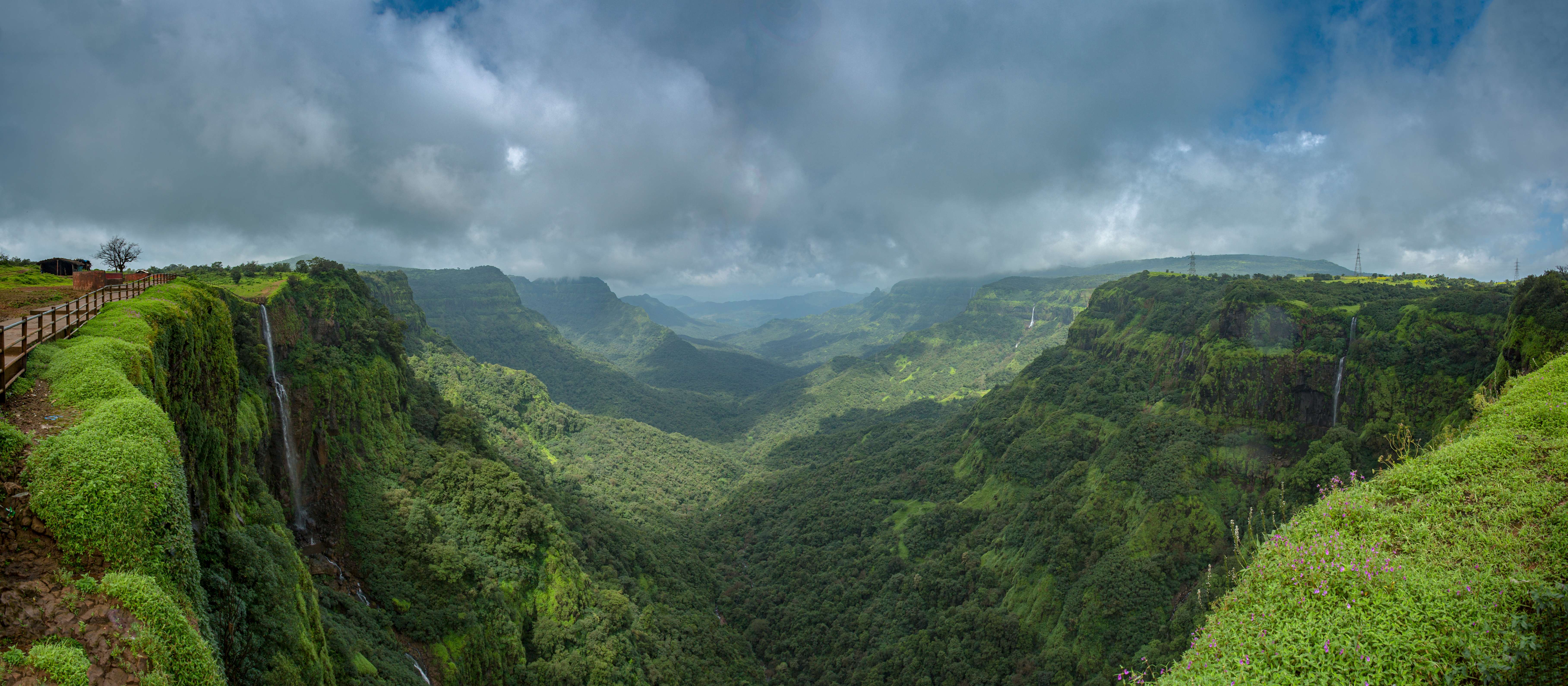 Amboli