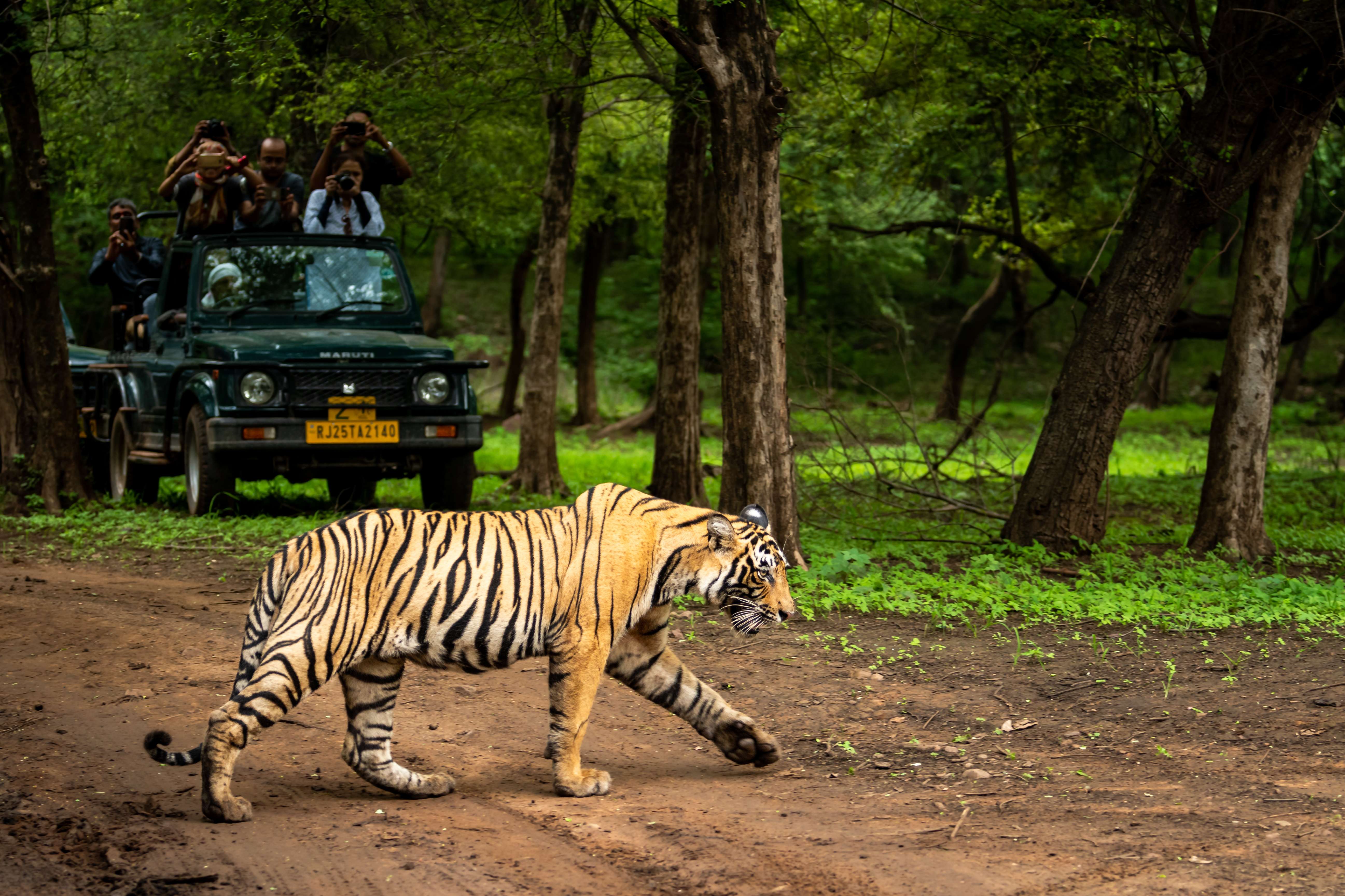 Pench National Park