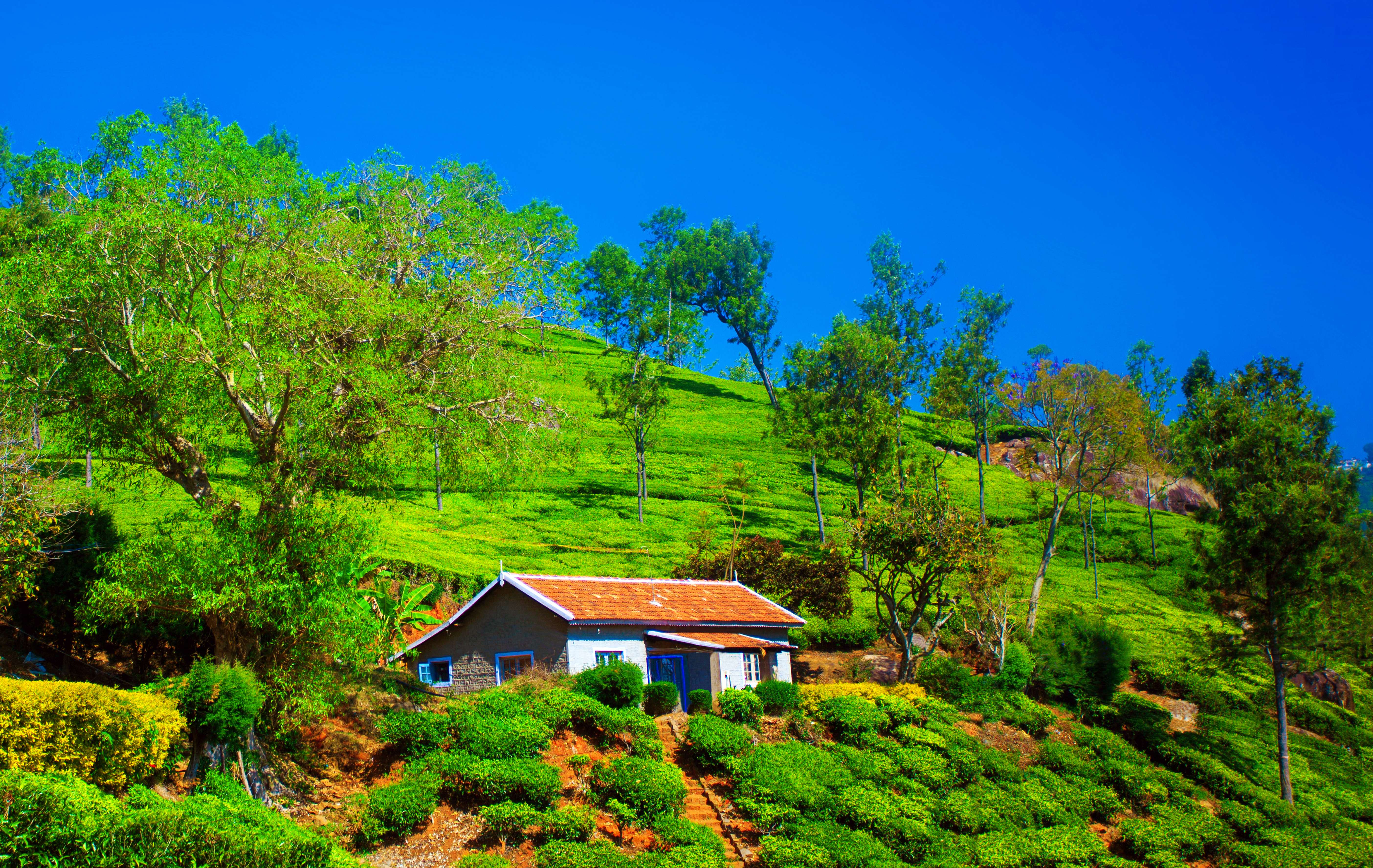 Coonoor