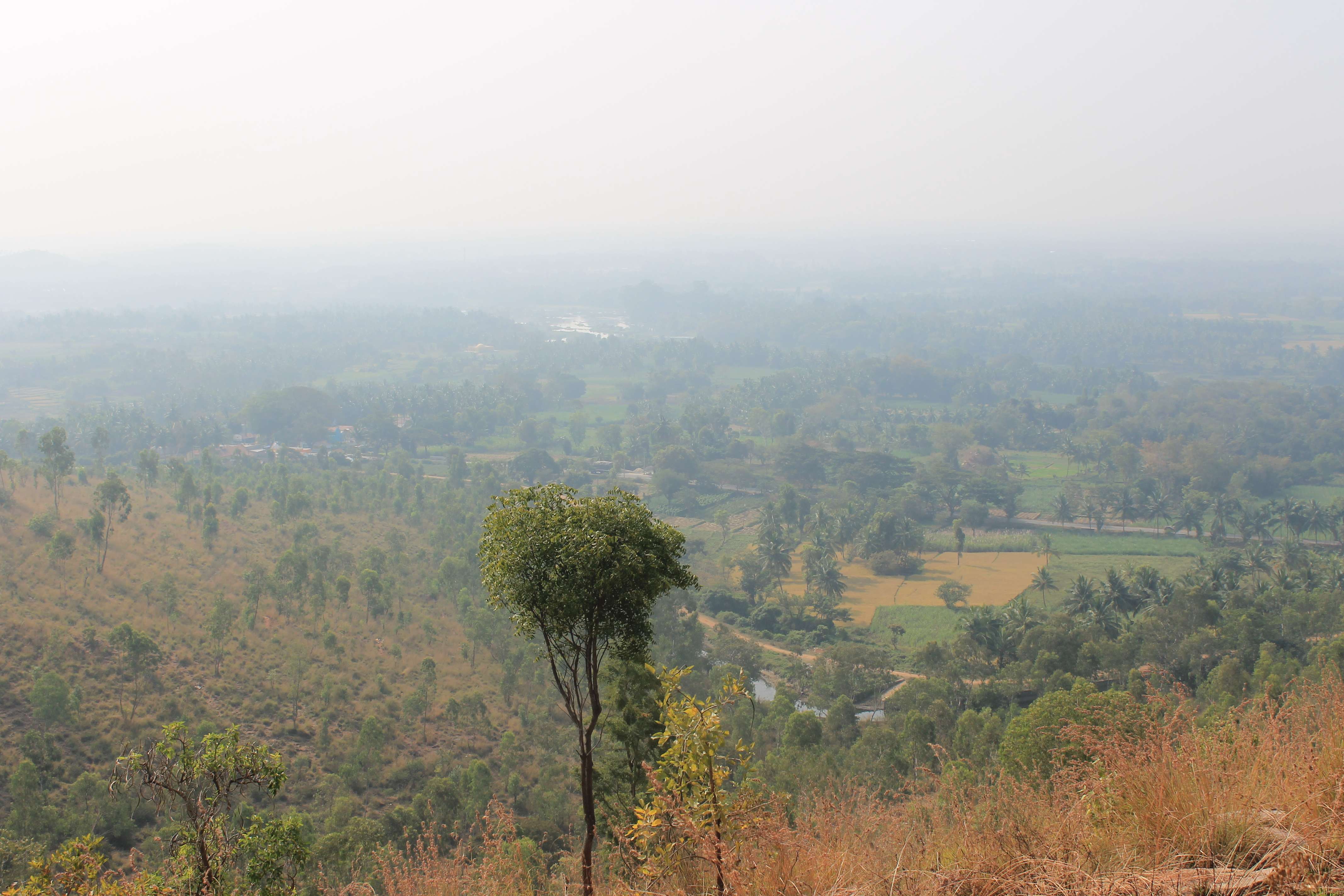 Other Essential Information